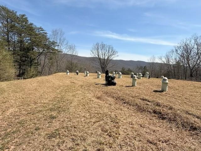 12002 JACKSON RIVER RD, MONTEREY, Virginia 24465, 3 Bedrooms Bedrooms, ,2 BathroomsBathrooms,Residential,12002 JACKSON RIVER RD,673790 MLS # 673790