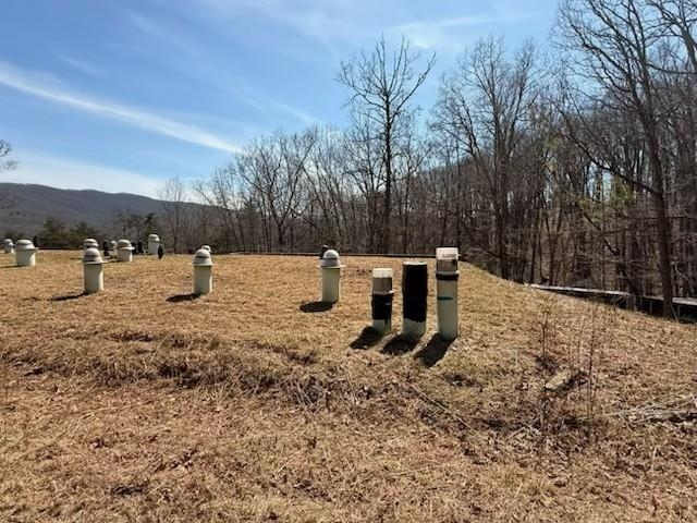12002 JACKSON RIVER RD, MONTEREY, Virginia 24465, 3 Bedrooms Bedrooms, ,2 BathroomsBathrooms,Residential,12002 JACKSON RIVER RD,673790 MLS # 673790