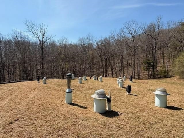 12002 JACKSON RIVER RD, MONTEREY, Virginia 24465, 3 Bedrooms Bedrooms, ,2 BathroomsBathrooms,Residential,12002 JACKSON RIVER RD,673790 MLS # 673790