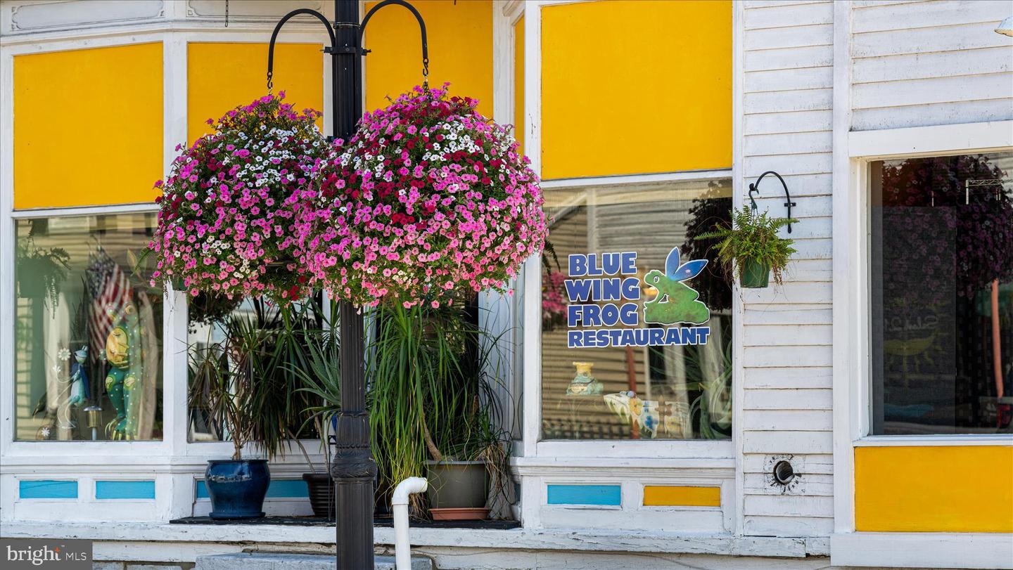 1197 JOHN MARSHALL HWY, STRASBURG, Virginia 22657, 4 Bedrooms Bedrooms, ,2 BathroomsBathrooms,Residential,For sale,1197 JOHN MARSHALL HWY,VASH2013638 MLS # VASH2013638 1197 JOHN MARSHALL HWY, STRASBURG, Virginia 22657, 4 Bedrooms Bedrooms, ,2 BathroomsBathrooms,Residential,For sale,1197 JOHN MARSHALL HWY,VASH2013638 MLS # VASH2013638