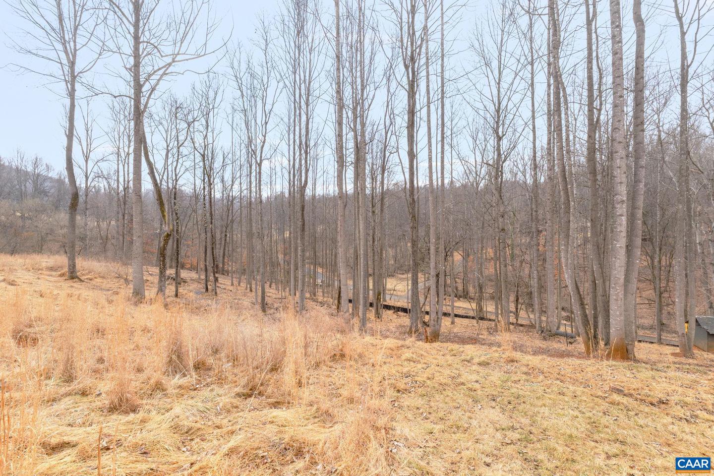 459 ROCKY HOLLOW RD, CHARLOTTESVILLE, Virginia 22911, 3 Bedrooms Bedrooms, ,2 BathroomsBathrooms,Residential,For sale,459 ROCKY HOLLOW RD,673781 MLS # 673781