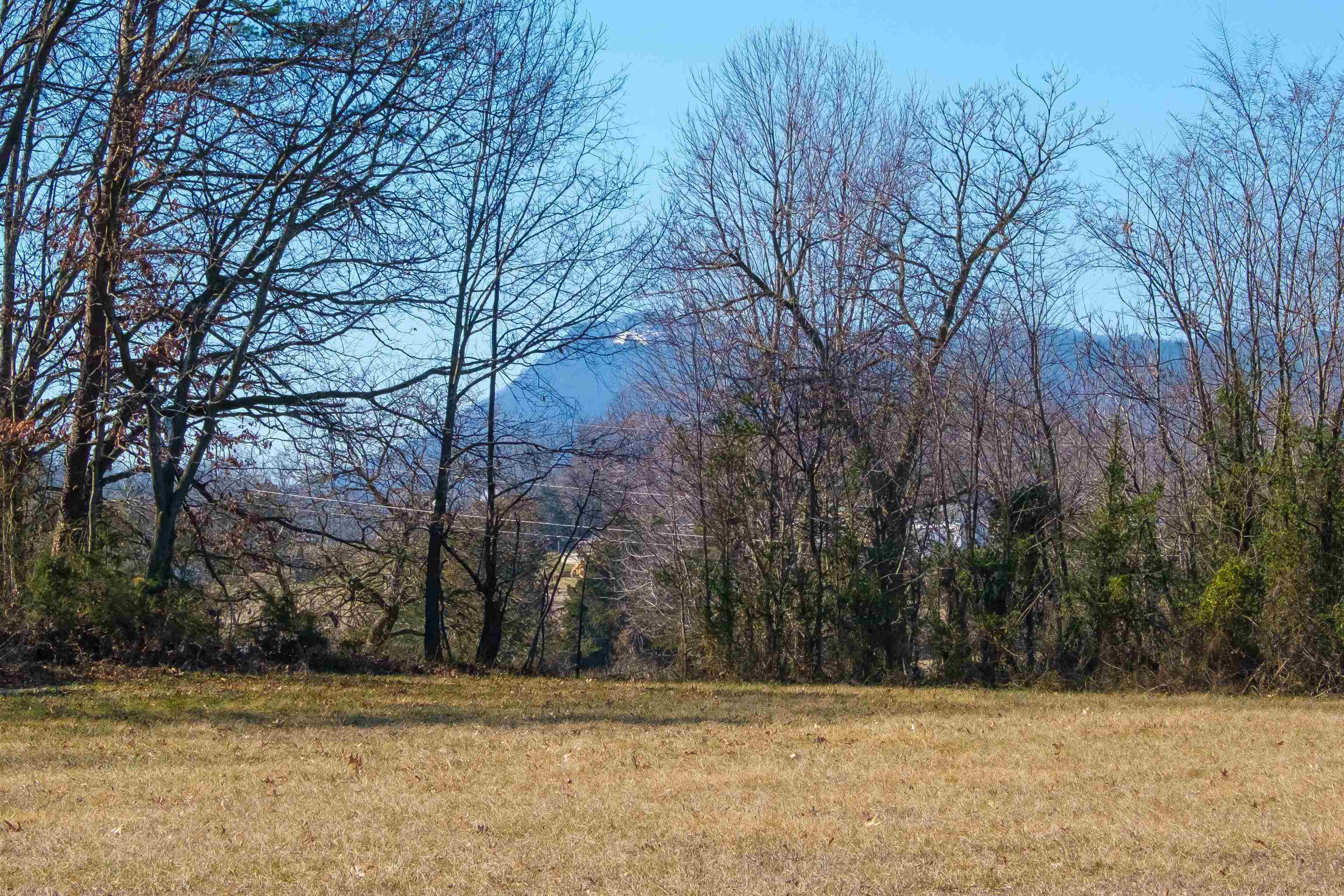 TBD N SPOTSWOOD TRL, ELKTON, Virginia 22827, ,Land,TBD N SPOTSWOOD TRL,659013 MLS # 659013 TBD N SPOTSWOOD TRL, ELKTON, Virginia 22827, ,Land,TBD N SPOTSWOOD TRL,659013 MLS # 659013