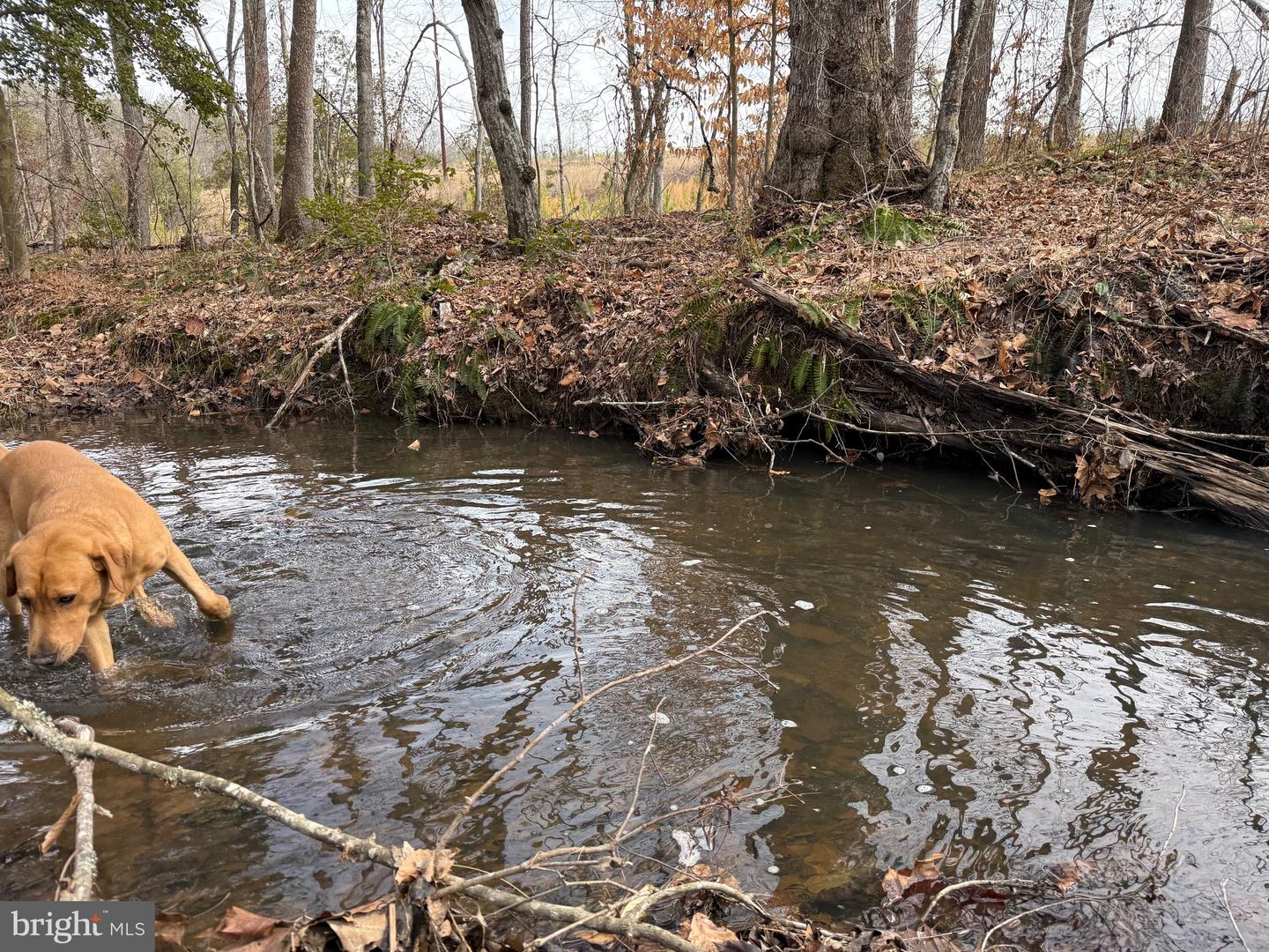 1 COMMUNITY HOUSE RD, KENTS STORE, Virginia 23084, ,Land,For sale,1 COMMUNITY HOUSE RD,VAFN2000626 MLS # VAFN2000626