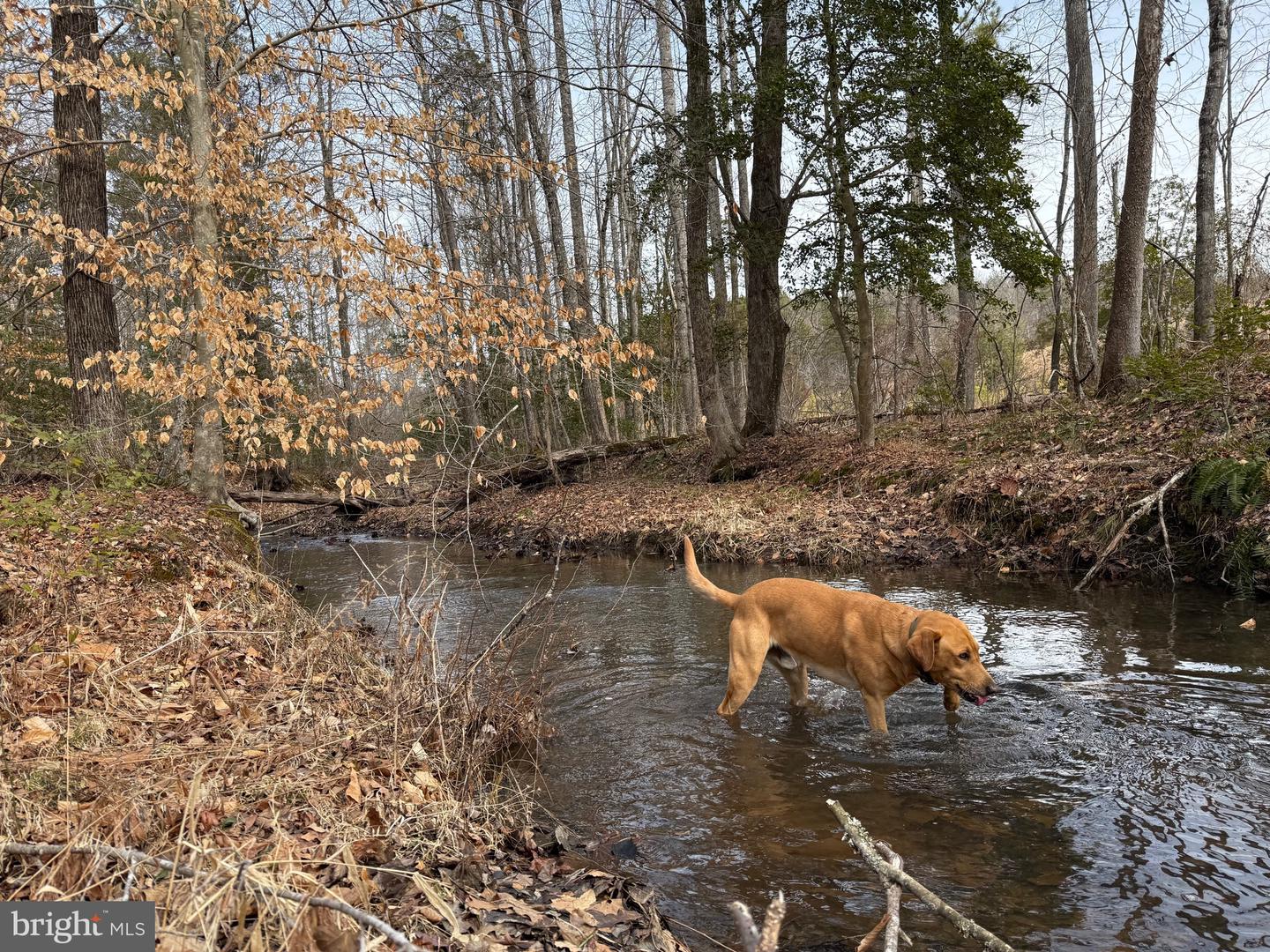 1 COMMUNITY HOUSE RD, KENTS STORE, Virginia 23084, ,Land,For sale,1 COMMUNITY HOUSE RD,VAFN2000626 MLS # VAFN2000626