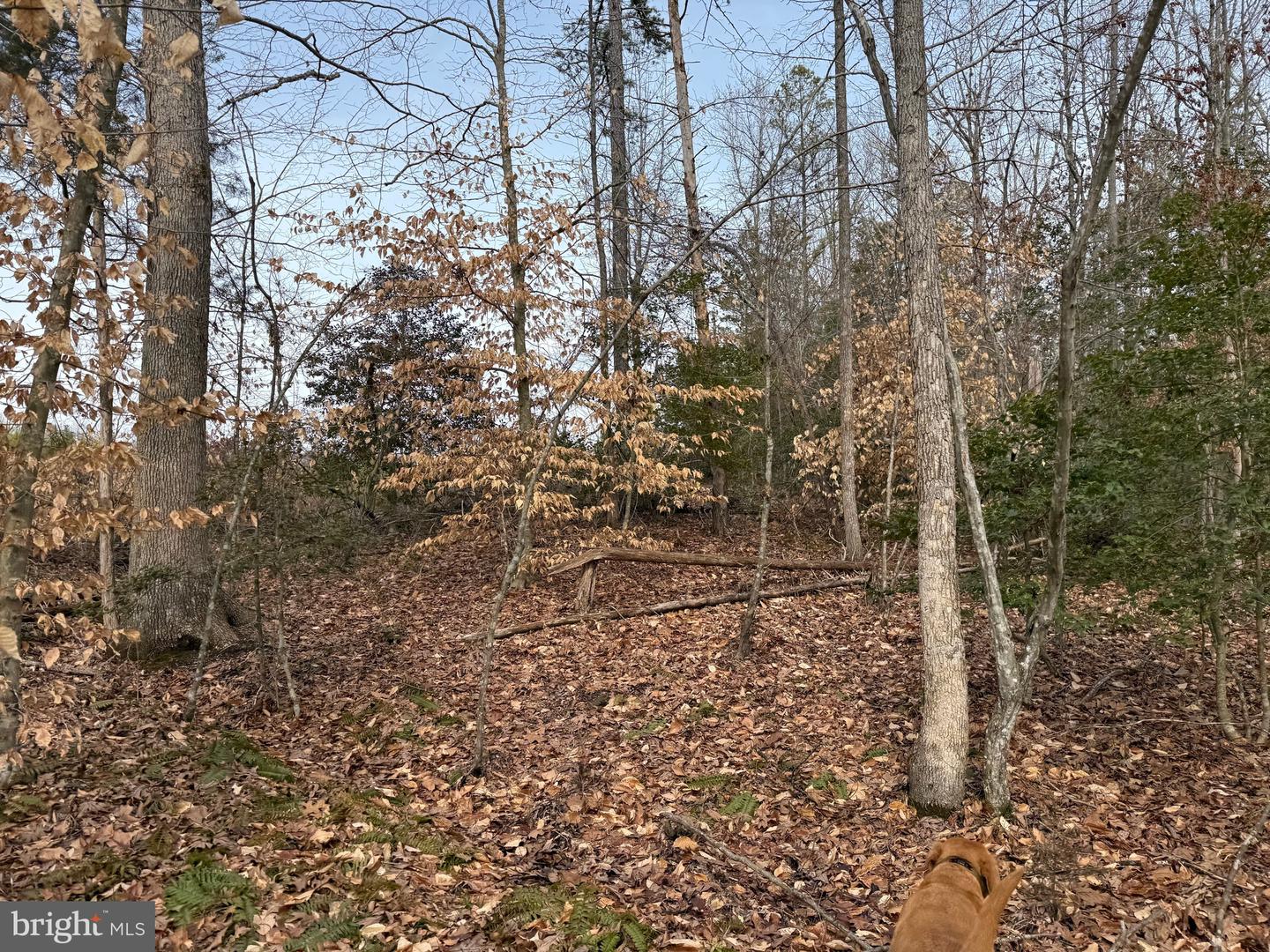 1 COMMUNITY HOUSE RD, KENTS STORE, Virginia 23084, ,Land,For sale,1 COMMUNITY HOUSE RD,VAFN2000626 MLS # VAFN2000626