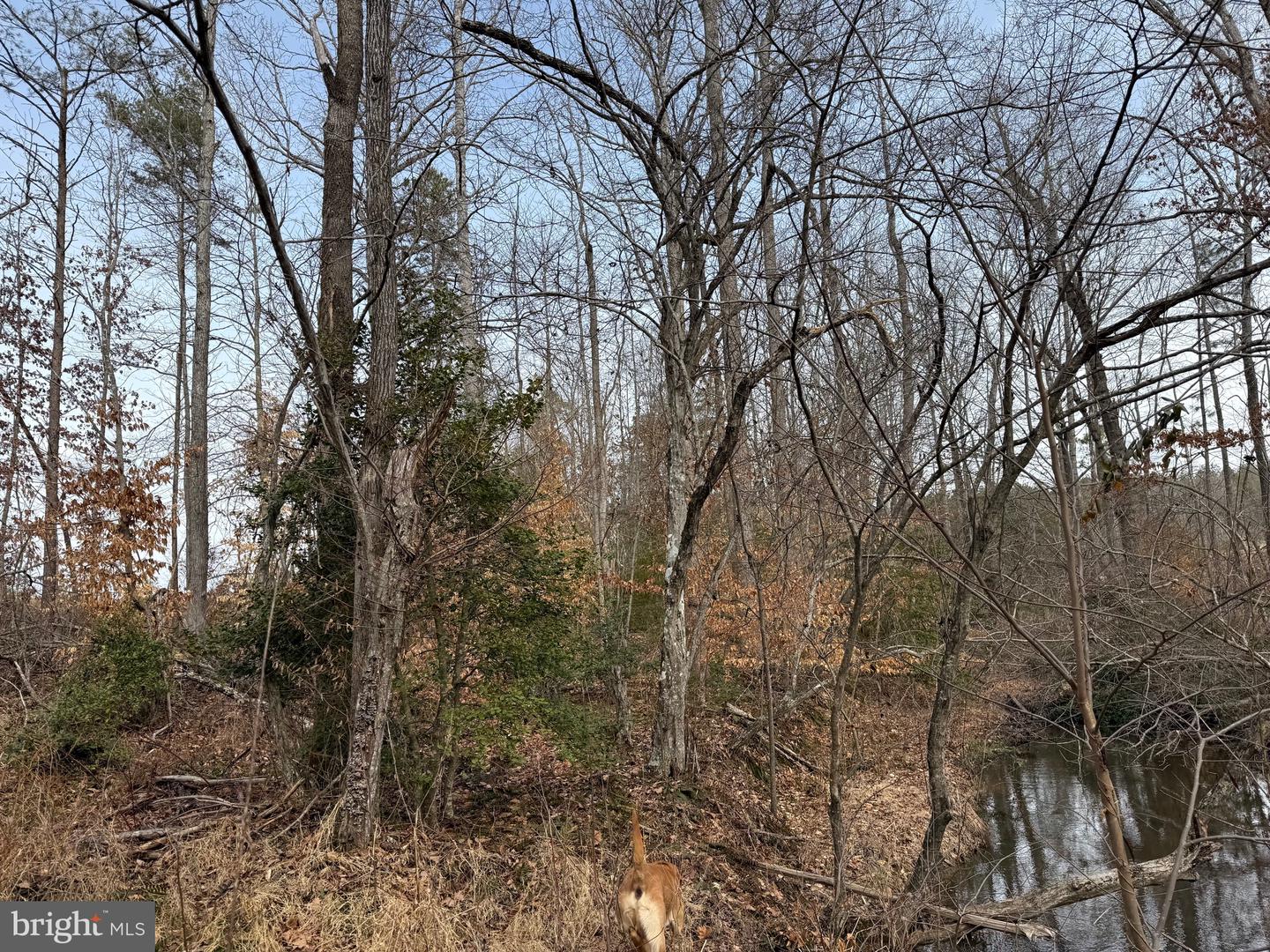 1 COMMUNITY HOUSE RD, KENTS STORE, Virginia 23084, ,Land,For sale,1 COMMUNITY HOUSE RD,VAFN2000626 MLS # VAFN2000626