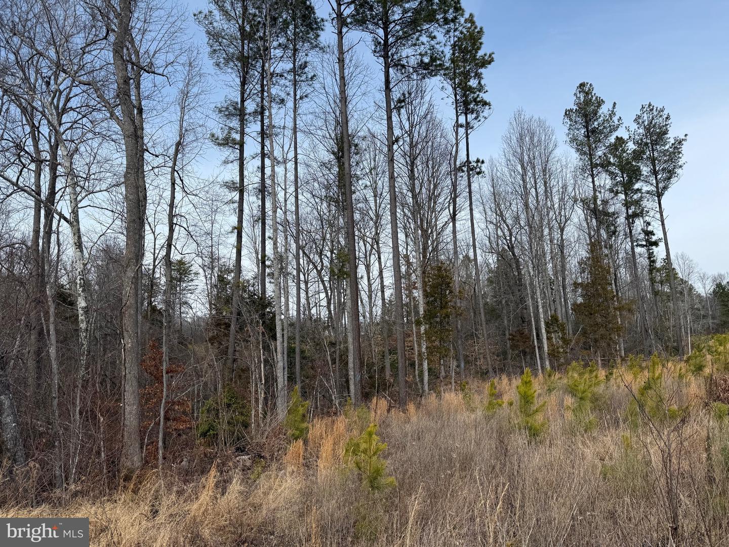 1 COMMUNITY HOUSE RD, KENTS STORE, Virginia 23084, ,Land,For sale,1 COMMUNITY HOUSE RD,VAFN2000626 MLS # VAFN2000626