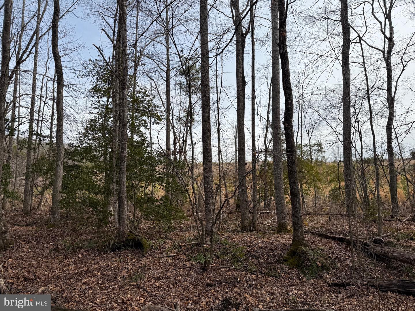 1 COMMUNITY HOUSE RD, KENTS STORE, Virginia 23084, ,Land,For sale,1 COMMUNITY HOUSE RD,VAFN2000626 MLS # VAFN2000626