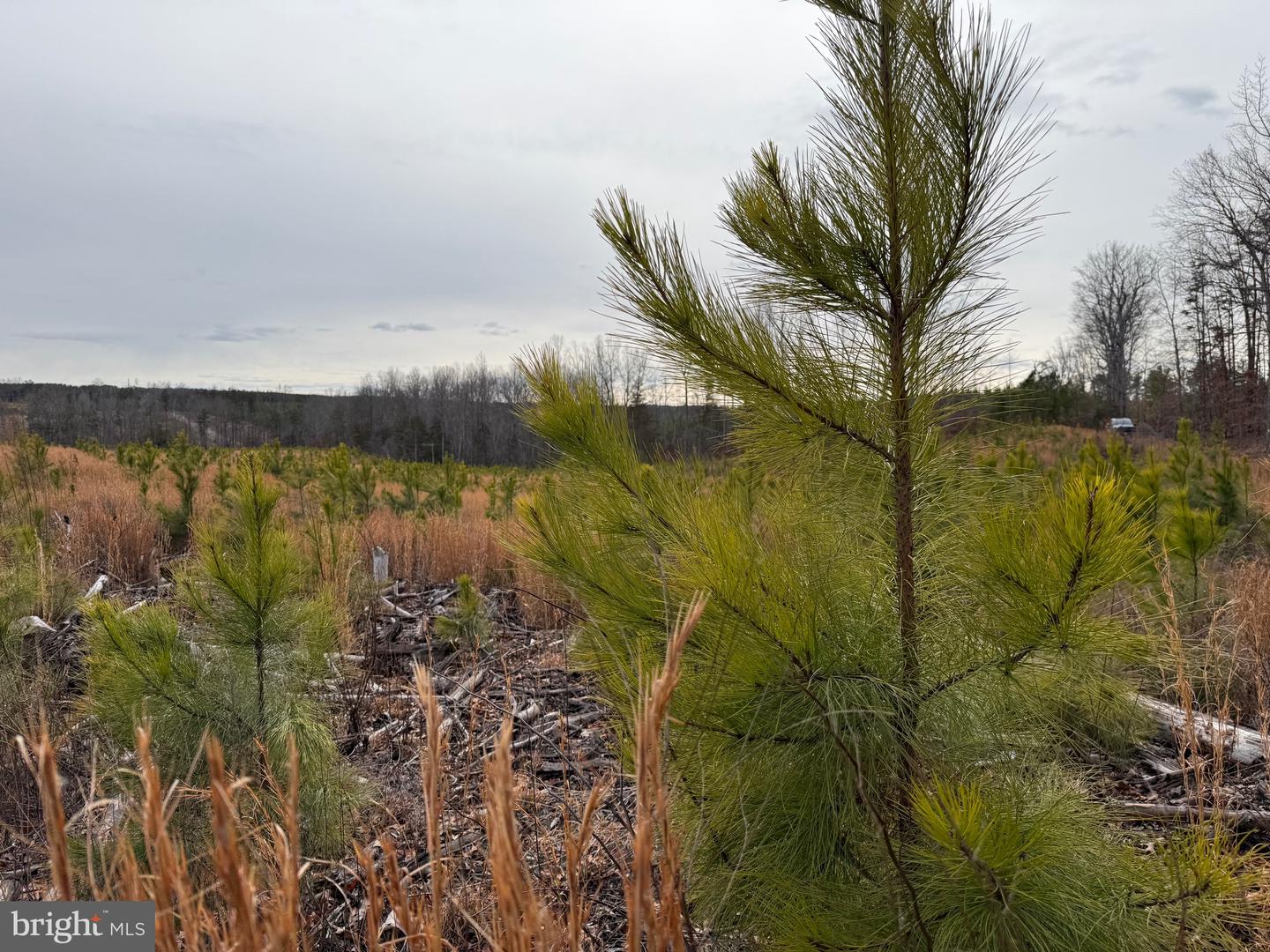 1 COMMUNITY HOUSE RD, KENTS STORE, Virginia 23084, ,Land,For sale,1 COMMUNITY HOUSE RD,VAFN2000626 MLS # VAFN2000626