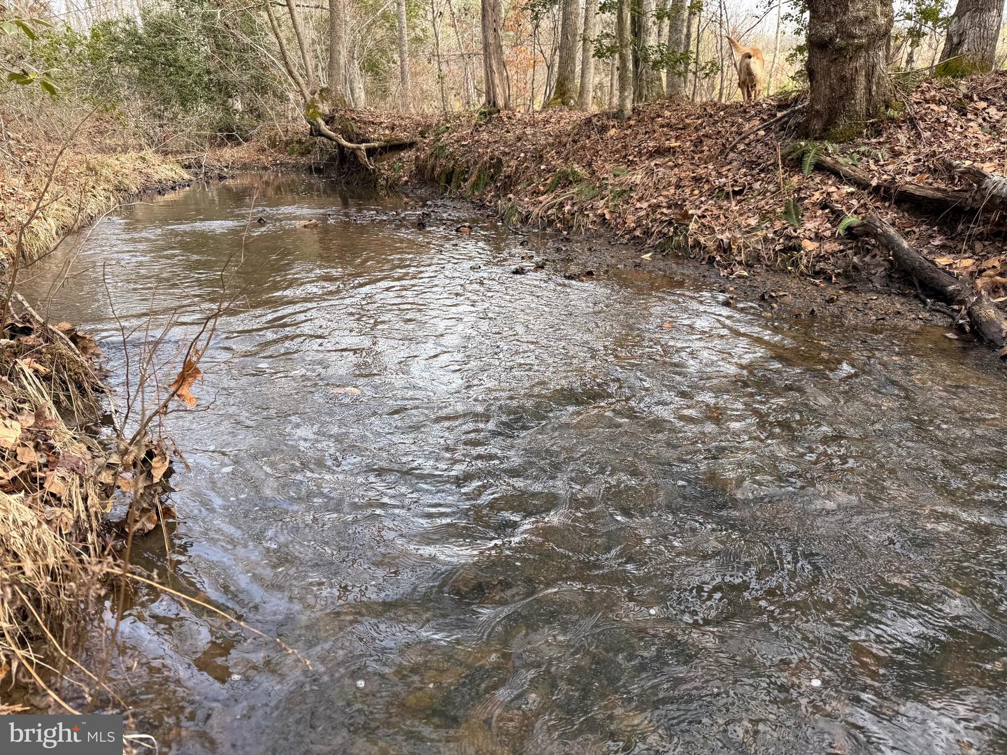 1 COMMUNITY HOUSE RD, KENTS STORE, Virginia 23084, ,Land,For sale,1 COMMUNITY HOUSE RD,VAFN2000626 MLS # VAFN2000626