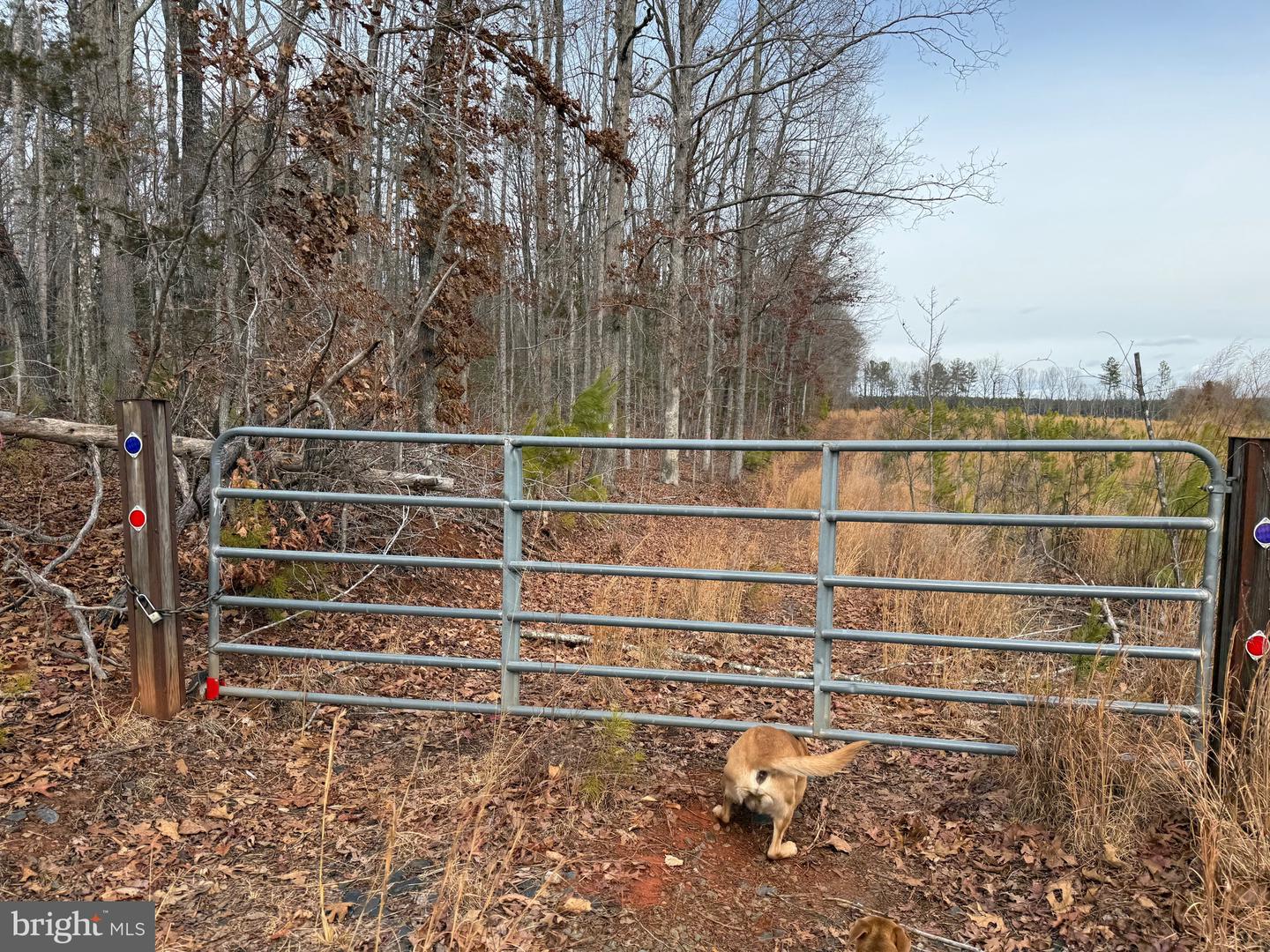 1 COMMUNITY HOUSE RD, KENTS STORE, Virginia 23084, ,Land,For sale,1 COMMUNITY HOUSE RD,VAFN2000626 MLS # VAFN2000626