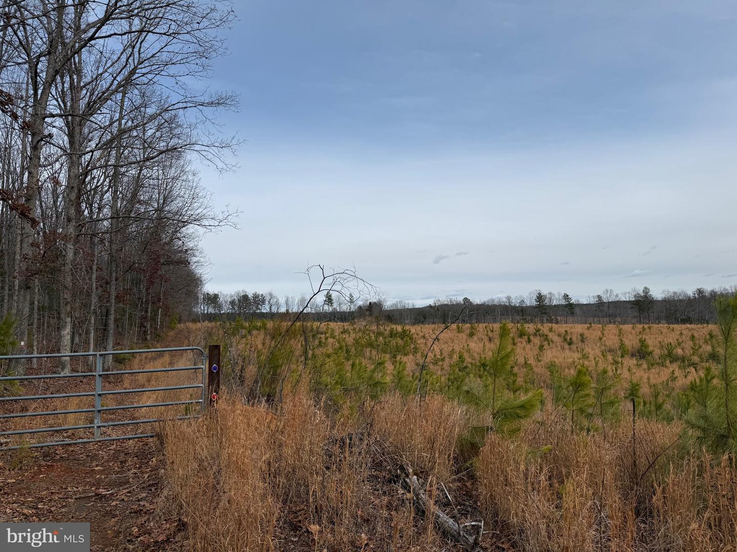 1 COMMUNITY HOUSE RD, KENTS STORE, Virginia 23084, ,Land,For sale,1 COMMUNITY HOUSE RD,VAFN2000626 MLS # VAFN2000626