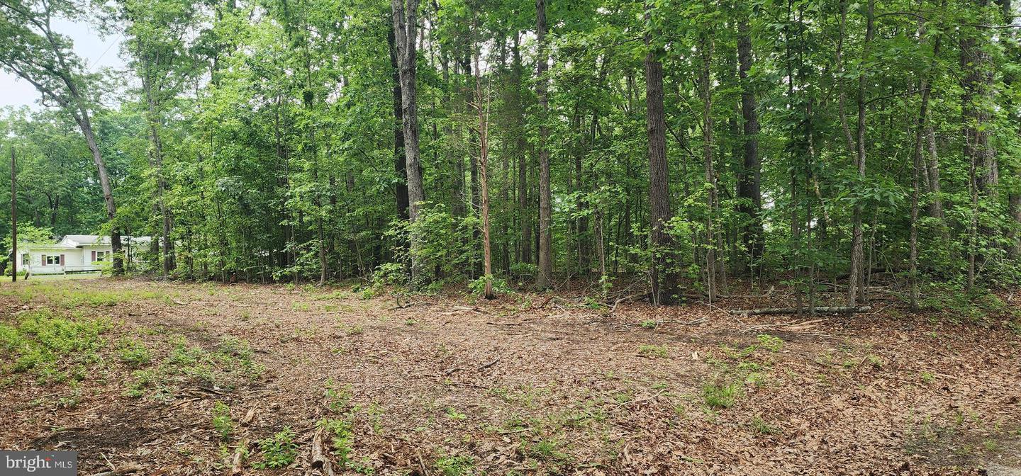 G3 ORCHID LAKE DR, GUM SPRING, Virginia 23065, ,Land,For sale,G3 ORCHID LAKE DR,VALA2009380 MLS # VALA2009380 G3 ORCHID LAKE DR, GUM SPRING, Virginia 23065, ,Land,For sale,G3 ORCHID LAKE DR,VALA2009380 MLS # VALA2009380