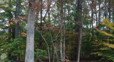 224 WOODSIDE LN, RUTHER GLEN, Virginia 22546, ,Land,For sale,224 WOODSIDE LN,VACV2007680 MLS # VACV2007680