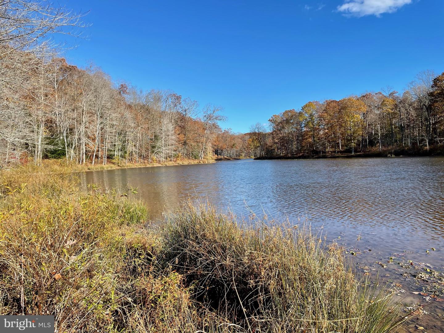 10405-LOT 1 PINEY BRANCH RD, SPOTSYLVANIA, Virginia 22553, ,Land,For sale,10405-LOT 1 PINEY BRANCH RD,VASP2038422 MLS # VASP2038422