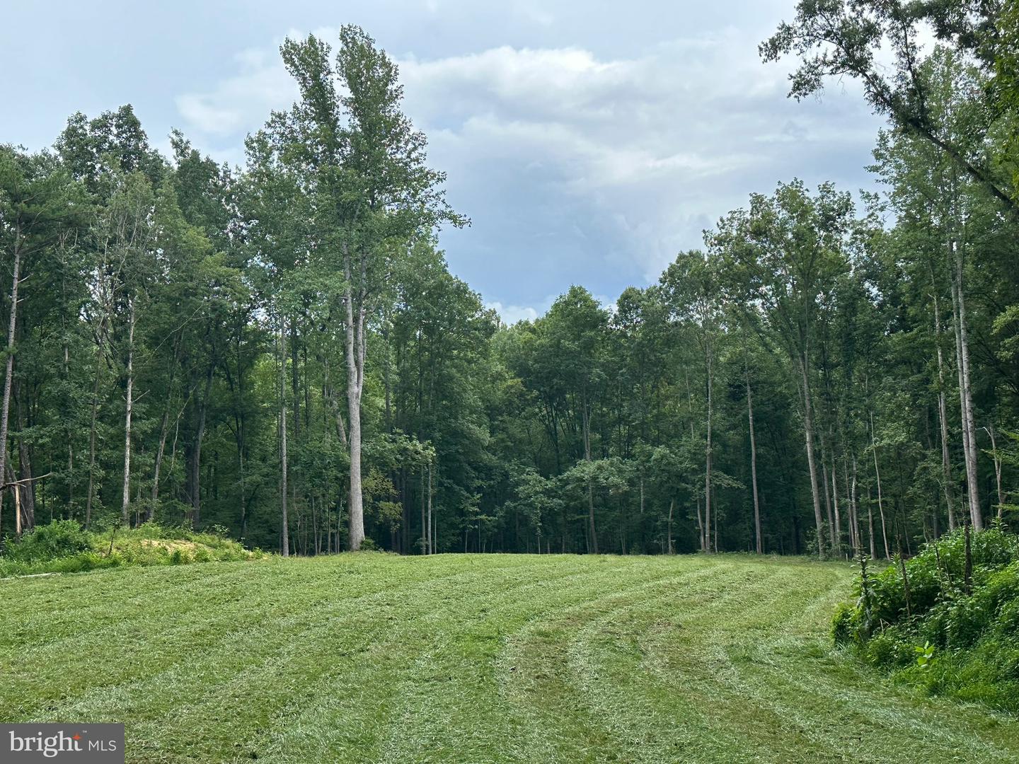 10405-LOT 1 PINEY BRANCH RD, SPOTSYLVANIA, Virginia 22553, ,Land,For sale,10405-LOT 1 PINEY BRANCH RD,VASP2038422 MLS # VASP2038422