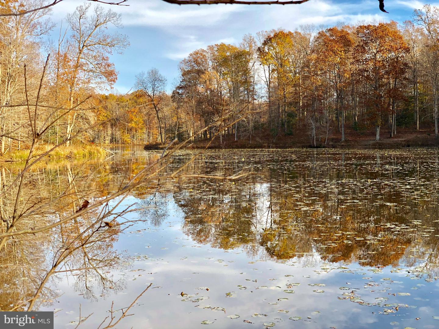 10405-LOT 2 PINEY BRANCH RD, SPOTSYLVANIA, Virginia 22553, ,Land,For sale,10405-LOT 2 PINEY BRANCH RD,VASP2038424 MLS # VASP2038424