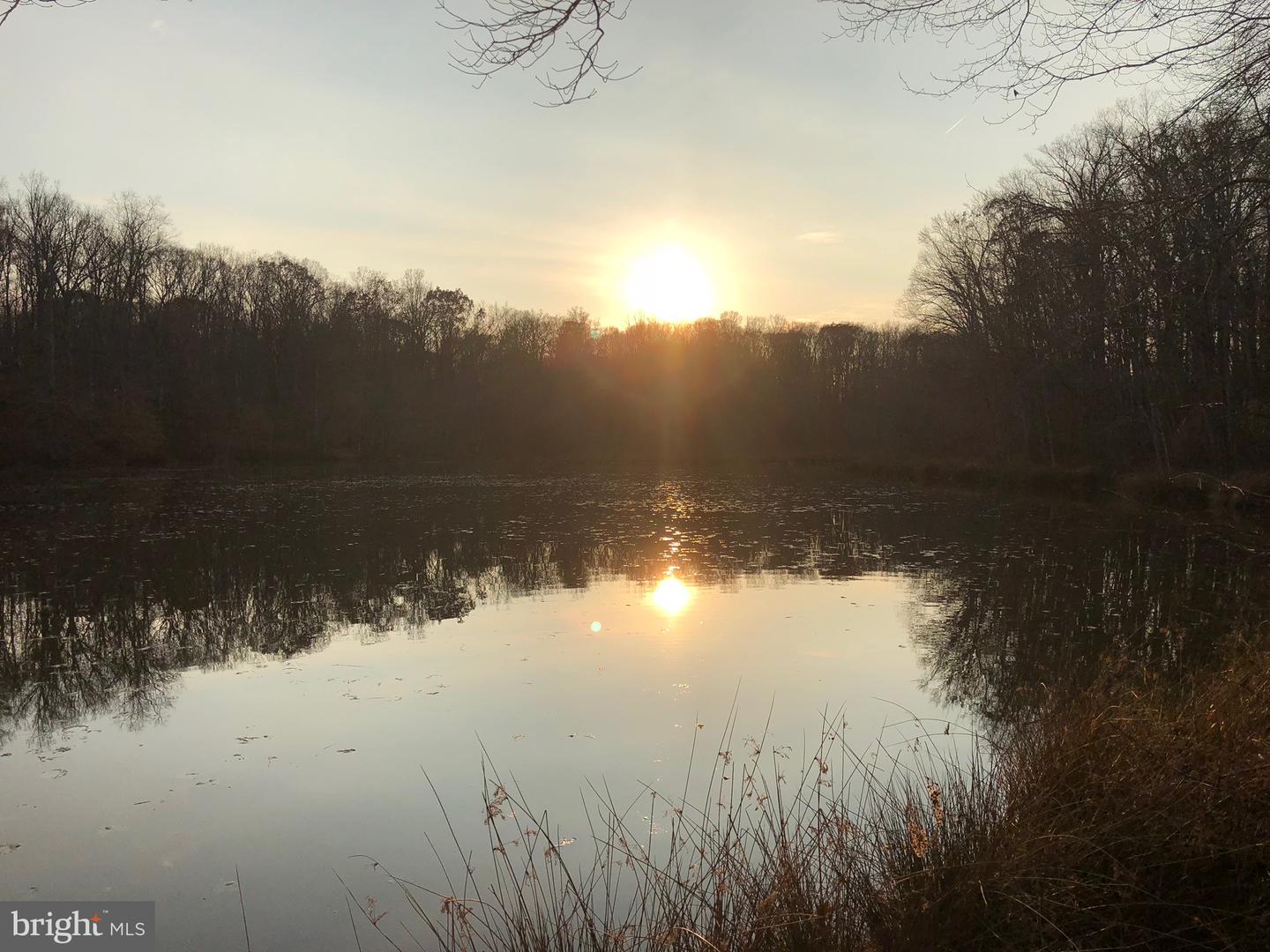 10405-LOT 2 PINEY BRANCH RD, SPOTSYLVANIA, Virginia 22553, ,Land,For sale,10405-LOT 2 PINEY BRANCH RD,VASP2038424 MLS # VASP2038424