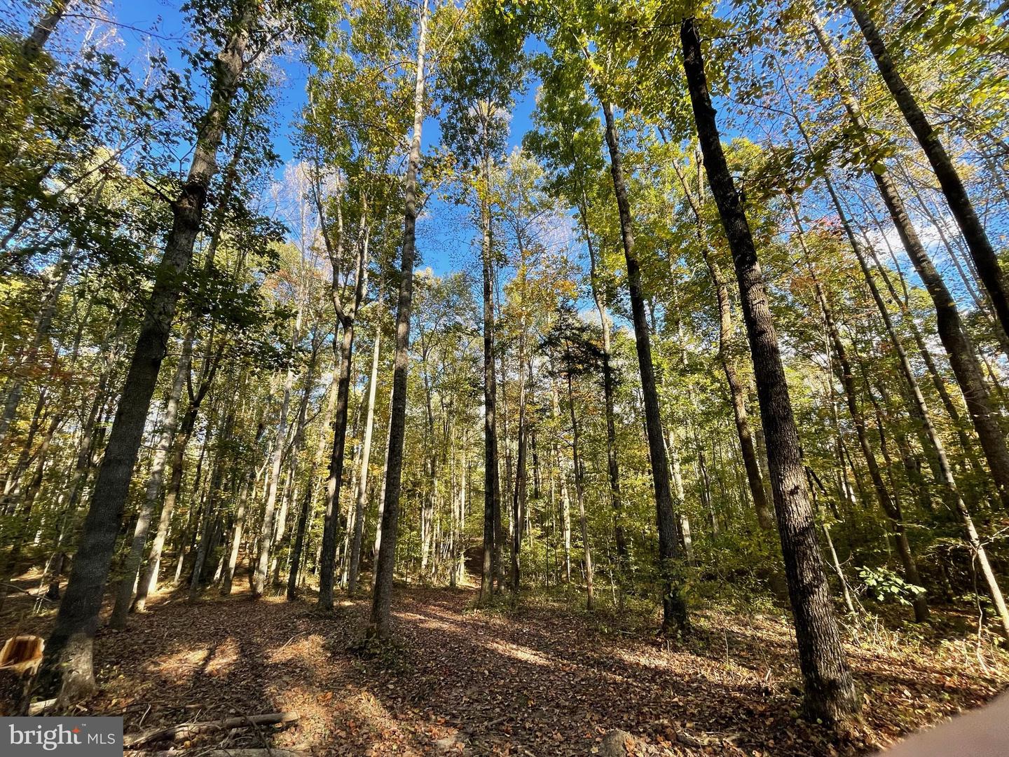 10405-LOT 2 PINEY BRANCH RD, SPOTSYLVANIA, Virginia 22553, ,Land,For sale,10405-LOT 2 PINEY BRANCH RD,VASP2038424 MLS # VASP2038424