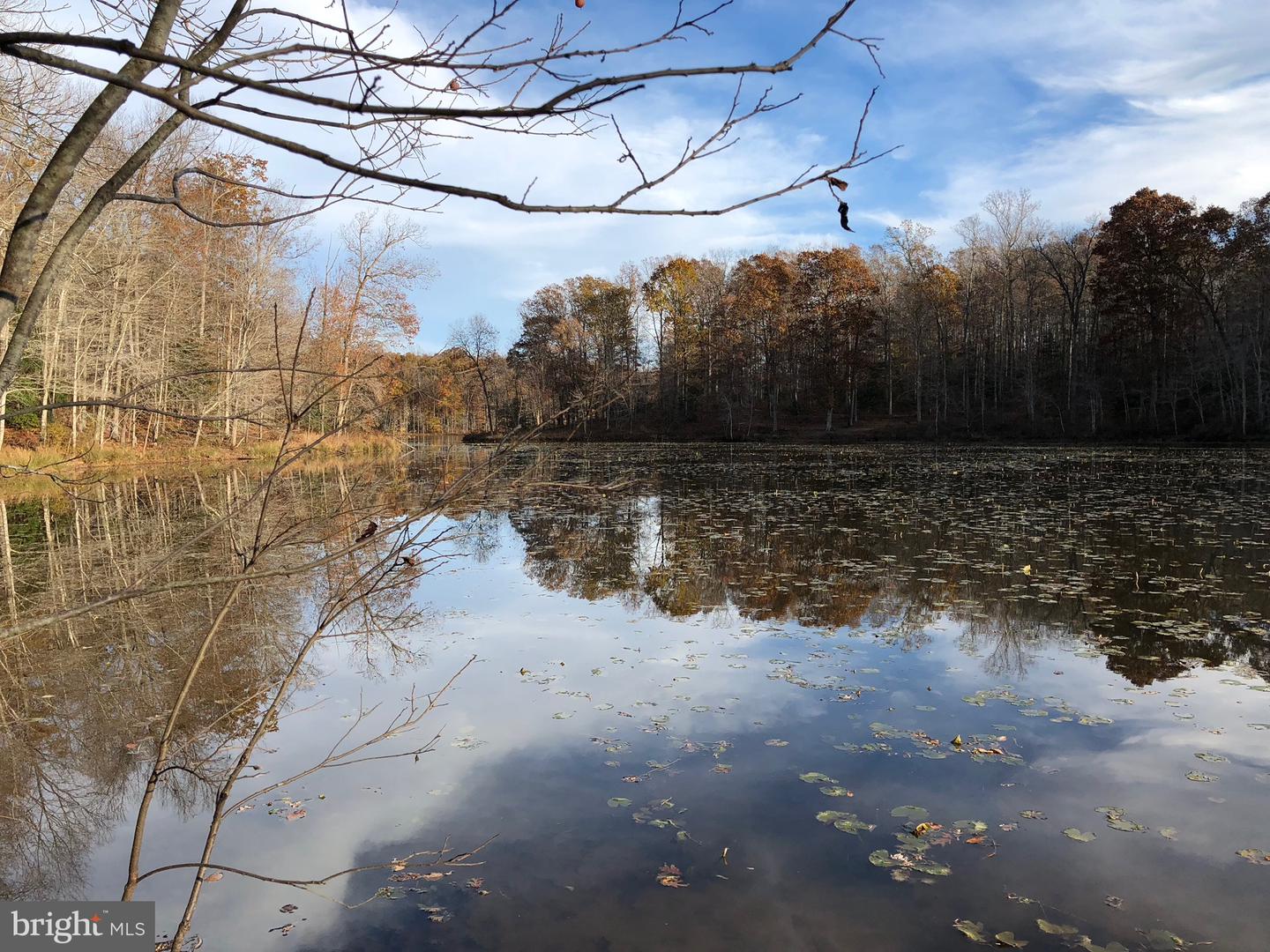 10405-LOT 2 PINEY BRANCH RD, SPOTSYLVANIA, Virginia 22553, ,Land,For sale,10405-LOT 2 PINEY BRANCH RD,VASP2038424 MLS # VASP2038424