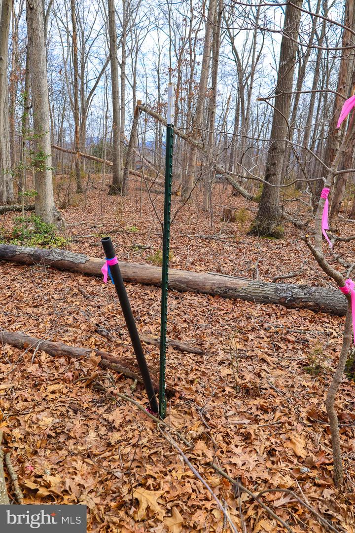 LOT 19 RIVERBEND DR, LURAY, Virginia 22835, ,Land,For sale,LOT 19 RIVERBEND DR,VAPA2006068 MLS # VAPA2006068 LOT 19 RIVERBEND DR, LURAY, Virginia 22835, ,Land,For sale,LOT 19 RIVERBEND DR,VAPA2006068 MLS # VAPA2006068