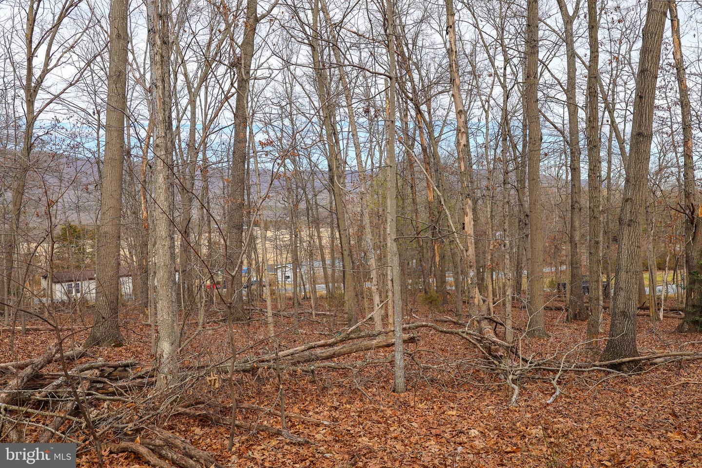 LOT 19 RIVERBEND DR, LURAY, Virginia 22835, ,Land,For sale,LOT 19 RIVERBEND DR,VAPA2006068 MLS # VAPA2006068 LOT 19 RIVERBEND DR, LURAY, Virginia 22835, ,Land,For sale,LOT 19 RIVERBEND DR,VAPA2006068 MLS # VAPA2006068