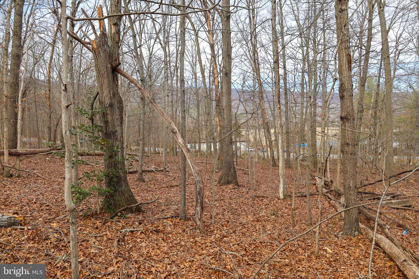 LOT 19 RIVERBEND DR, LURAY, Virginia 22835, ,Land,For sale,LOT 19 RIVERBEND DR,VAPA2006068 MLS # VAPA2006068 LOT 19 RIVERBEND DR, LURAY, Virginia 22835, ,Land,For sale,LOT 19 RIVERBEND DR,VAPA2006068 MLS # VAPA2006068