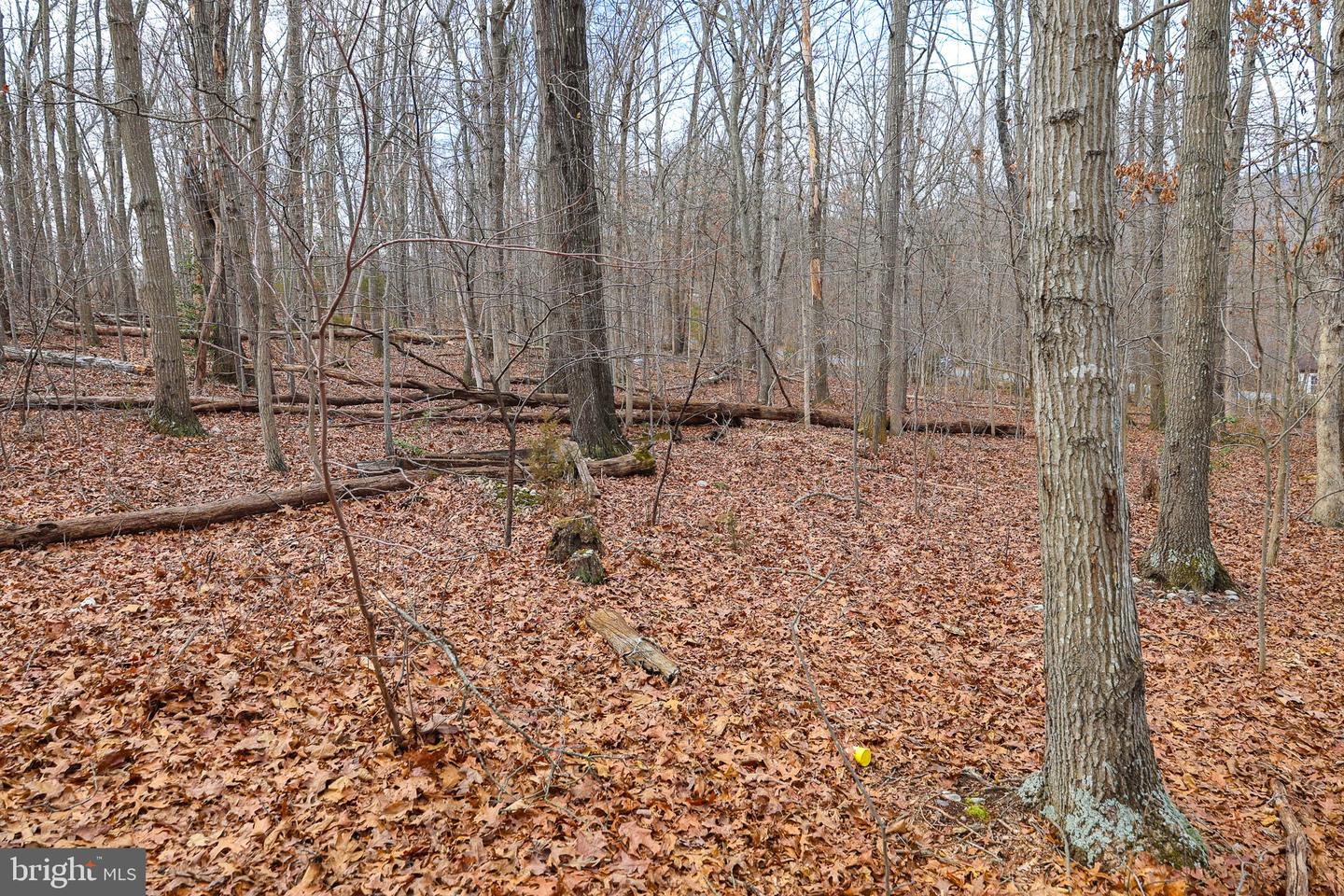 LOT 19 RIVERBEND DR, LURAY, Virginia 22835, ,Land,For sale,LOT 19 RIVERBEND DR,VAPA2006068 MLS # VAPA2006068 LOT 19 RIVERBEND DR, LURAY, Virginia 22835, ,Land,For sale,LOT 19 RIVERBEND DR,VAPA2006068 MLS # VAPA2006068