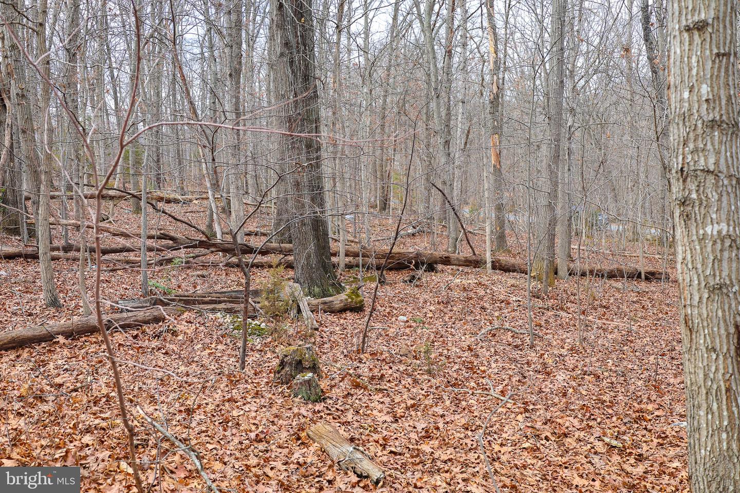 LOT 19 RIVERBEND DR, LURAY, Virginia 22835, ,Land,For sale,LOT 19 RIVERBEND DR,VAPA2006068 MLS # VAPA2006068 LOT 19 RIVERBEND DR, LURAY, Virginia 22835, ,Land,For sale,LOT 19 RIVERBEND DR,VAPA2006068 MLS # VAPA2006068