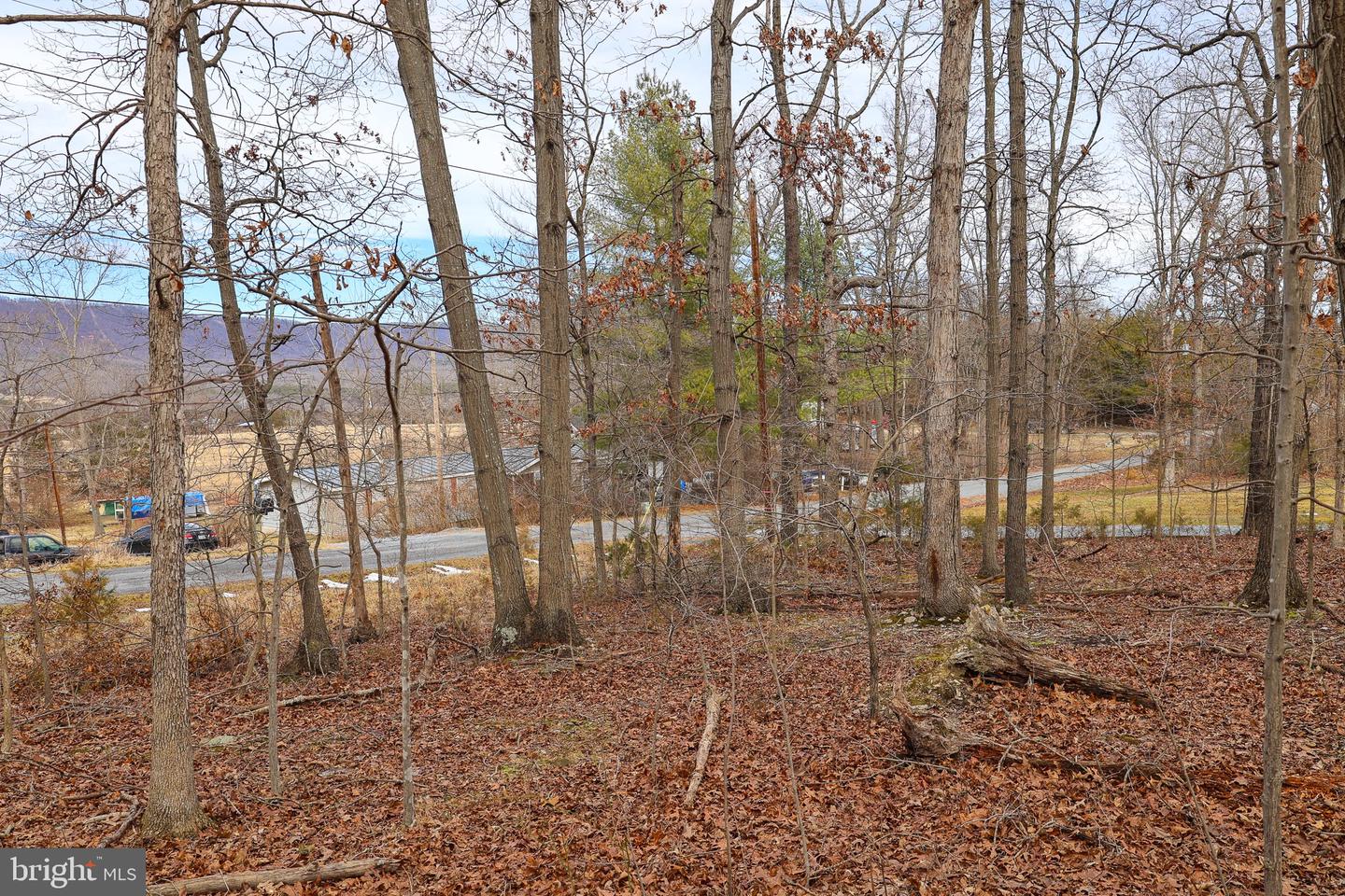 LOT 19 RIVERBEND DR, LURAY, Virginia 22835, ,Land,For sale,LOT 19 RIVERBEND DR,VAPA2006068 MLS # VAPA2006068 LOT 19 RIVERBEND DR, LURAY, Virginia 22835, ,Land,For sale,LOT 19 RIVERBEND DR,VAPA2006068 MLS # VAPA2006068