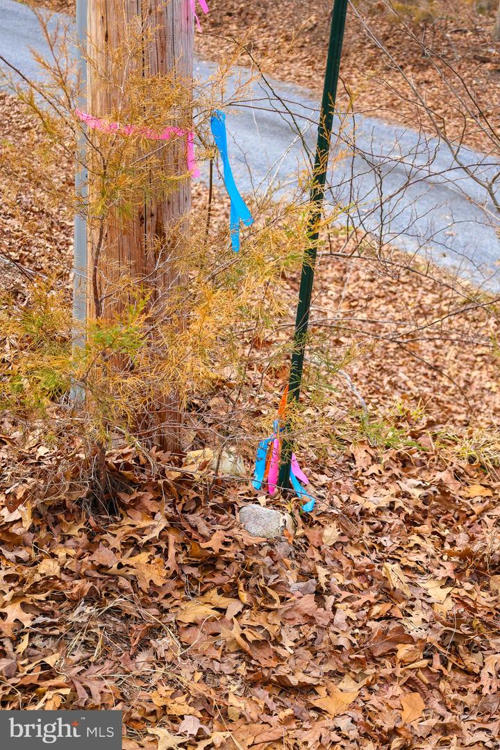 LOT 21 RIVERBEND DR, LURAY, Virginia 22835, ,Land,For sale,LOT 21 RIVERBEND DR,VAPA2006084 MLS # VAPA2006084