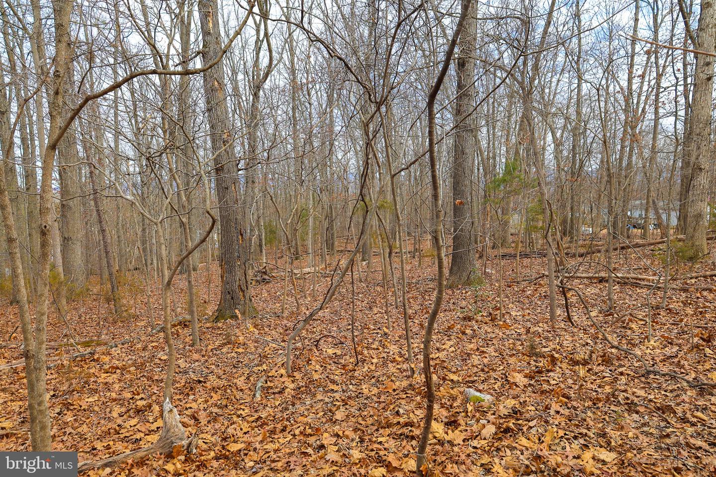 LOT 21 RIVERBEND DR, LURAY, Virginia 22835, ,Land,For sale,LOT 21 RIVERBEND DR,VAPA2006084 MLS # VAPA2006084