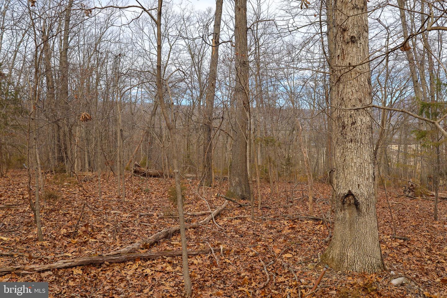 LOT 21 RIVERBEND DR, LURAY, Virginia 22835, ,Land,For sale,LOT 21 RIVERBEND DR,VAPA2006084 MLS # VAPA2006084