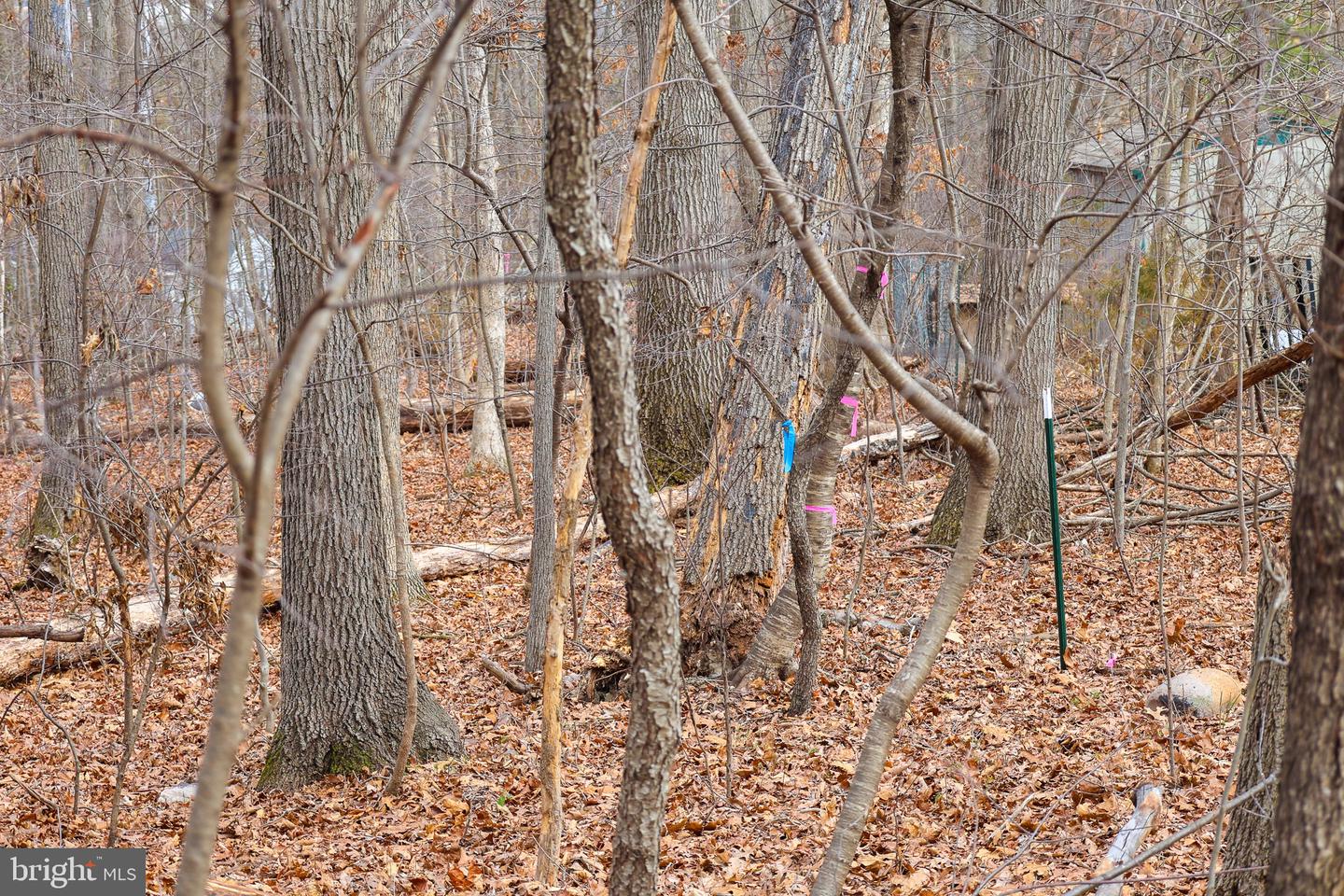 LOT 21 RIVERBEND DR, LURAY, Virginia 22835, ,Land,For sale,LOT 21 RIVERBEND DR,VAPA2006084 MLS # VAPA2006084