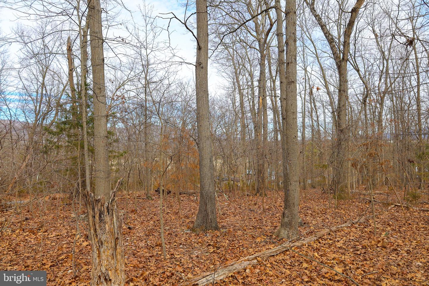 LOT 21 RIVERBEND DR, LURAY, Virginia 22835, ,Land,For sale,LOT 21 RIVERBEND DR,VAPA2006084 MLS # VAPA2006084