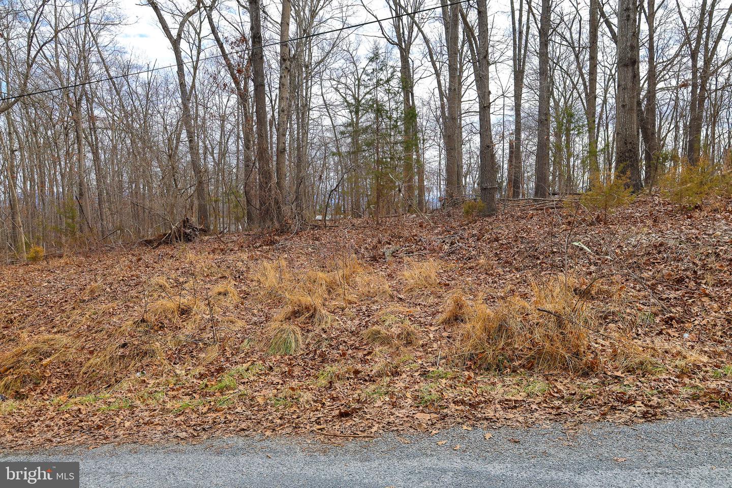 LOT 21 RIVERBEND DR, LURAY, Virginia 22835, ,Land,For sale,LOT 21 RIVERBEND DR,VAPA2006084 MLS # VAPA2006084