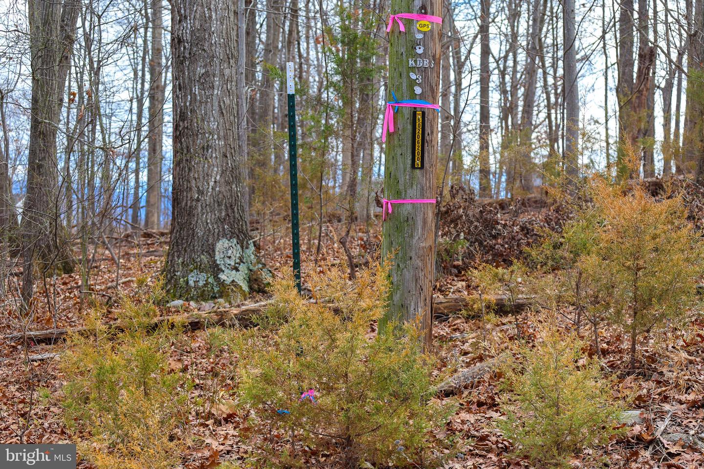 LOT 21 RIVERBEND DR, LURAY, Virginia 22835, ,Land,For sale,LOT 21 RIVERBEND DR,VAPA2006084 MLS # VAPA2006084