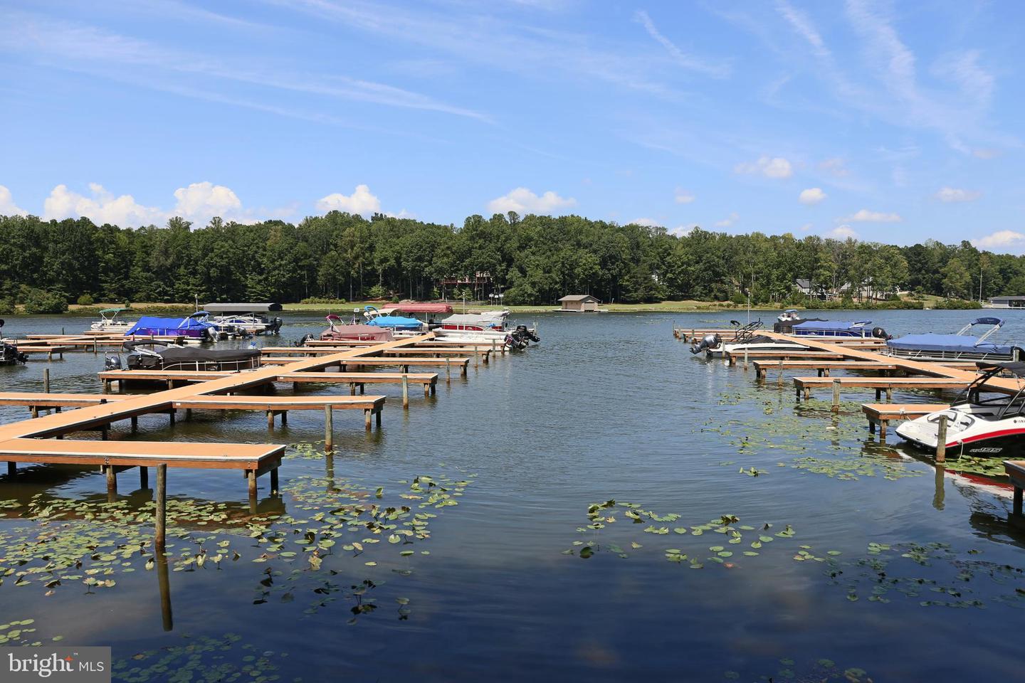 LOT 119 FISHER DRIVE, MINERAL, Virginia 23117, ,Land,For sale,LOT 119 FISHER DRIVE,VALA2009354 MLS # VALA2009354 LOT 119 FISHER DRIVE, MINERAL, Virginia 23117, ,Land,For sale,LOT 119 FISHER DRIVE,VALA2009354 MLS # VALA2009354