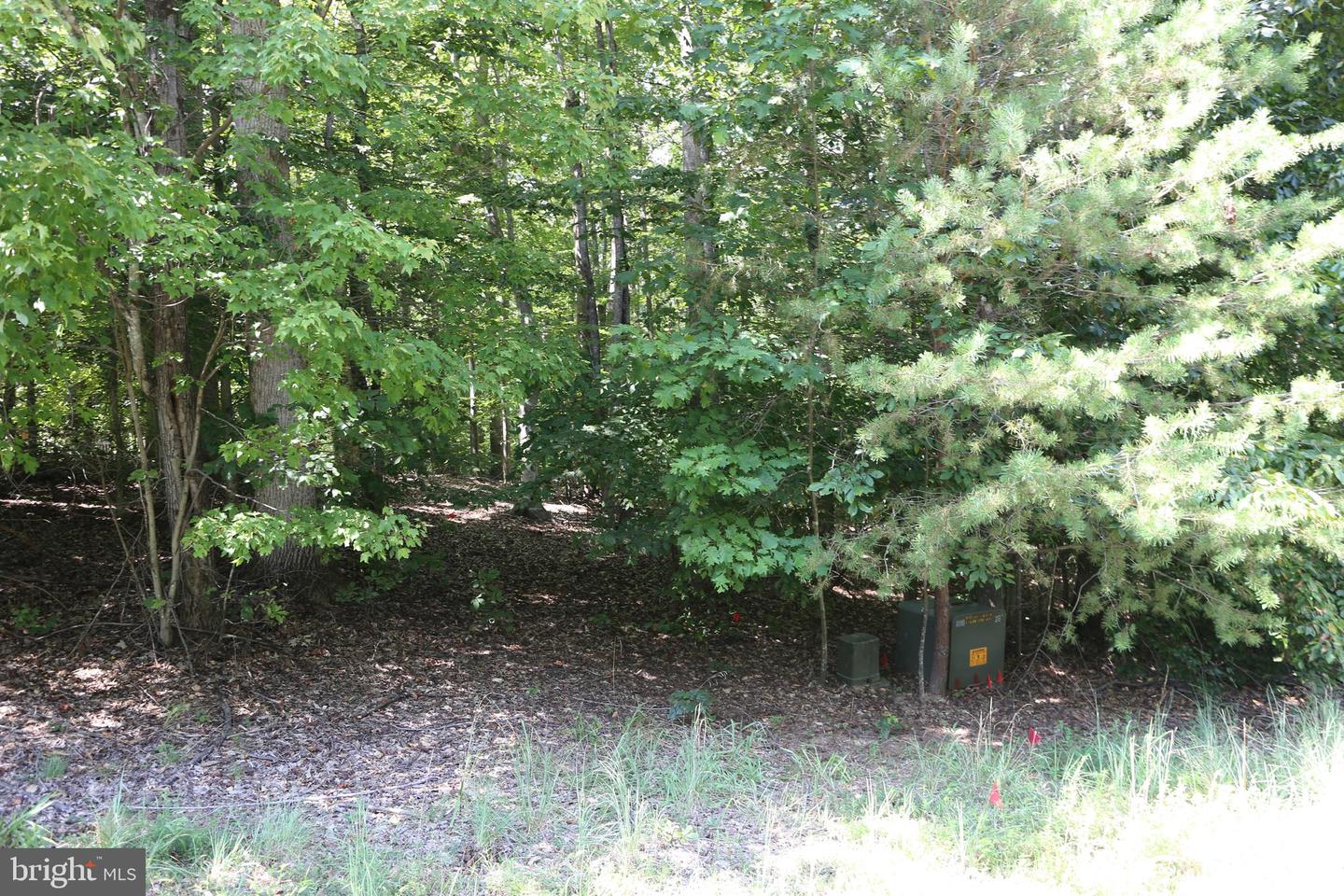 LOT 119 FISHER DRIVE, MINERAL, Virginia 23117, ,Land,For sale,LOT 119 FISHER DRIVE,VALA2009354 MLS # VALA2009354 LOT 119 FISHER DRIVE, MINERAL, Virginia 23117, ,Land,For sale,LOT 119 FISHER DRIVE,VALA2009354 MLS # VALA2009354