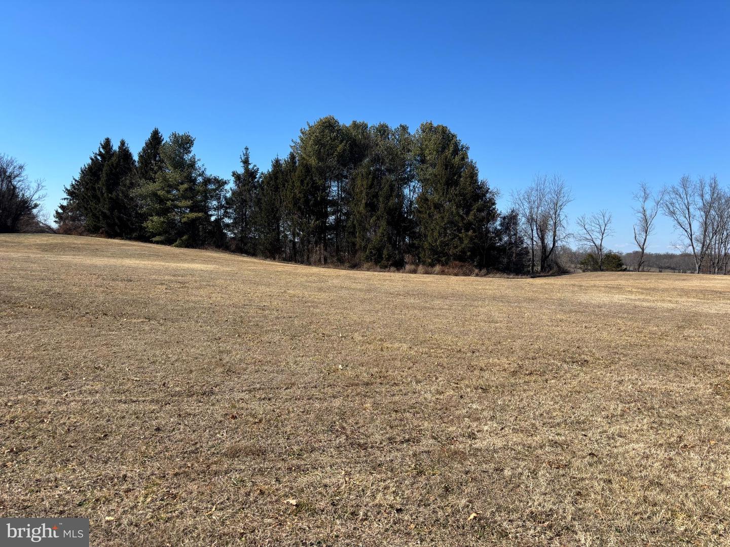 OLD TAVERN ROAD, THE PLAINS, Virginia 20198, ,Land,For sale,OLD TAVERN ROAD,VAFQ2020766 MLS # VAFQ2020766