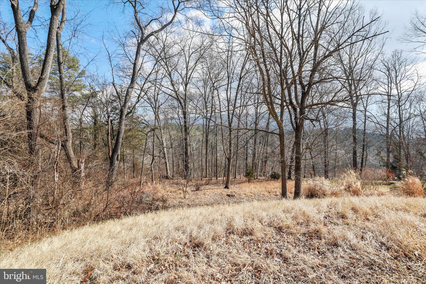 LOT 11 MANOR DR, EDINBURG, Virginia 22824, ,Land,For sale,LOT 11 MANOR DR,VASH2013696 MLS # VASH2013696