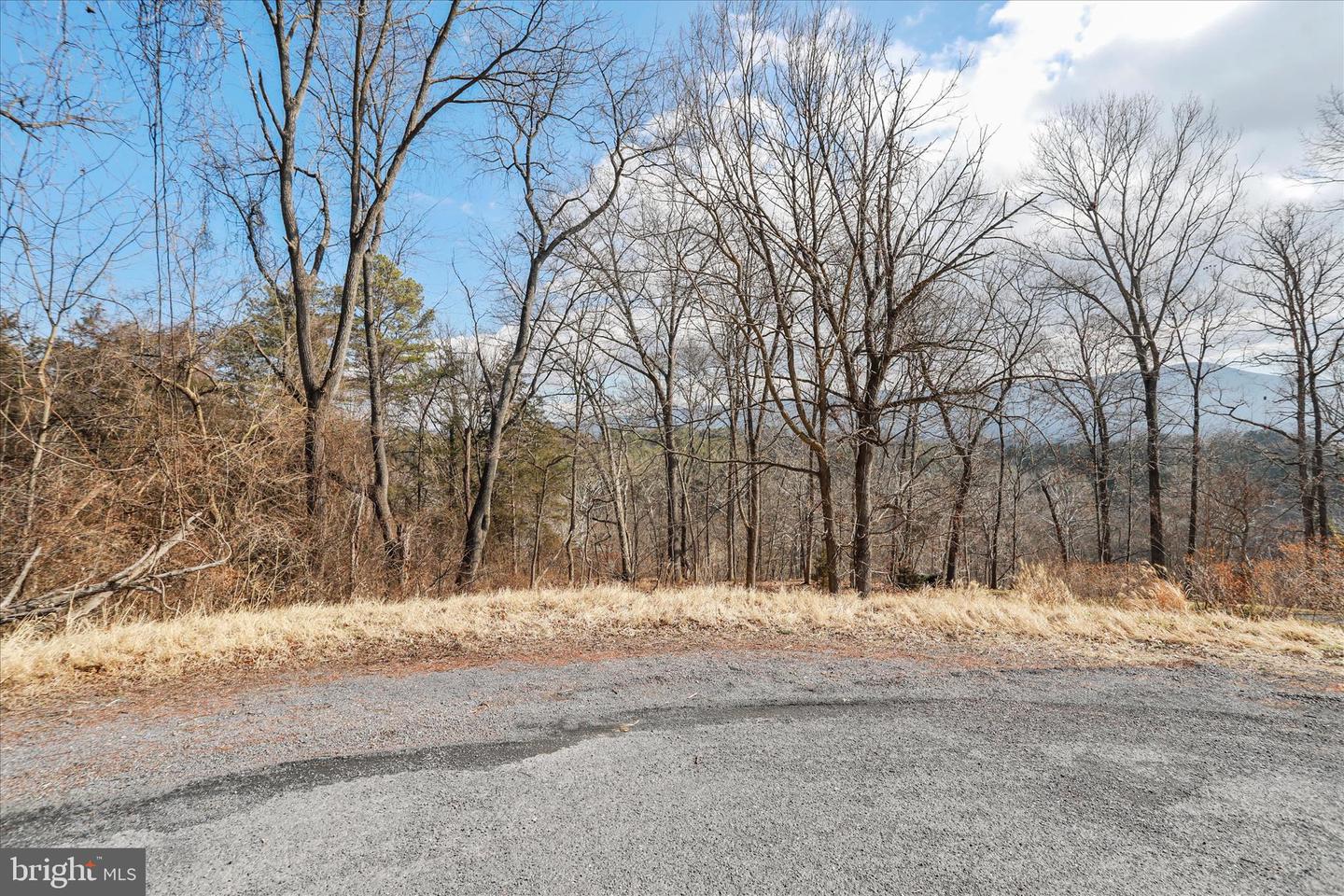 LOT 11 MANOR DR, EDINBURG, Virginia 22824, ,Land,For sale,LOT 11 MANOR DR,VASH2013696 MLS # VASH2013696