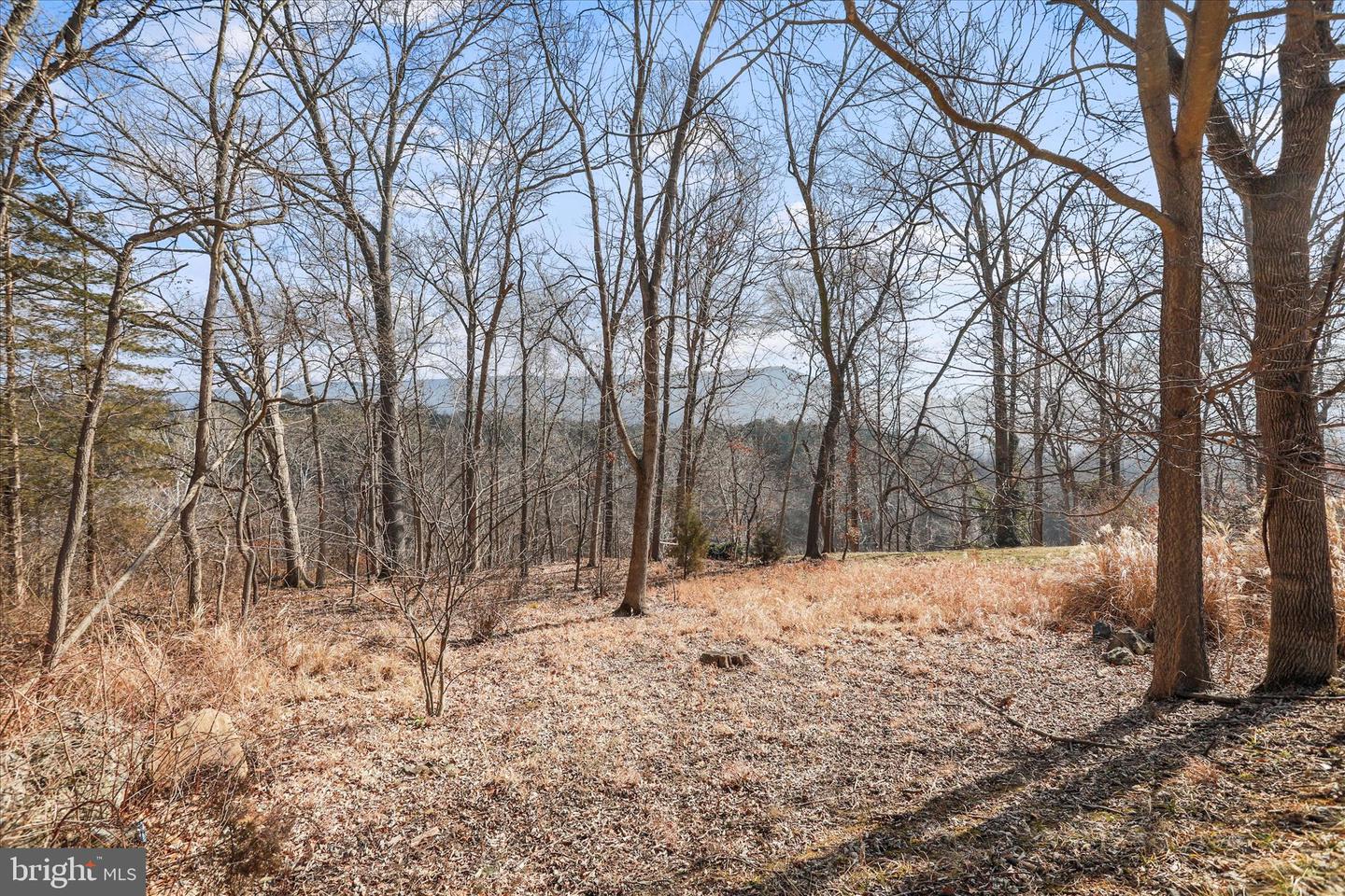 LOT 11 MANOR DR, EDINBURG, Virginia 22824, ,Land,For sale,LOT 11 MANOR DR,VASH2013696 MLS # VASH2013696