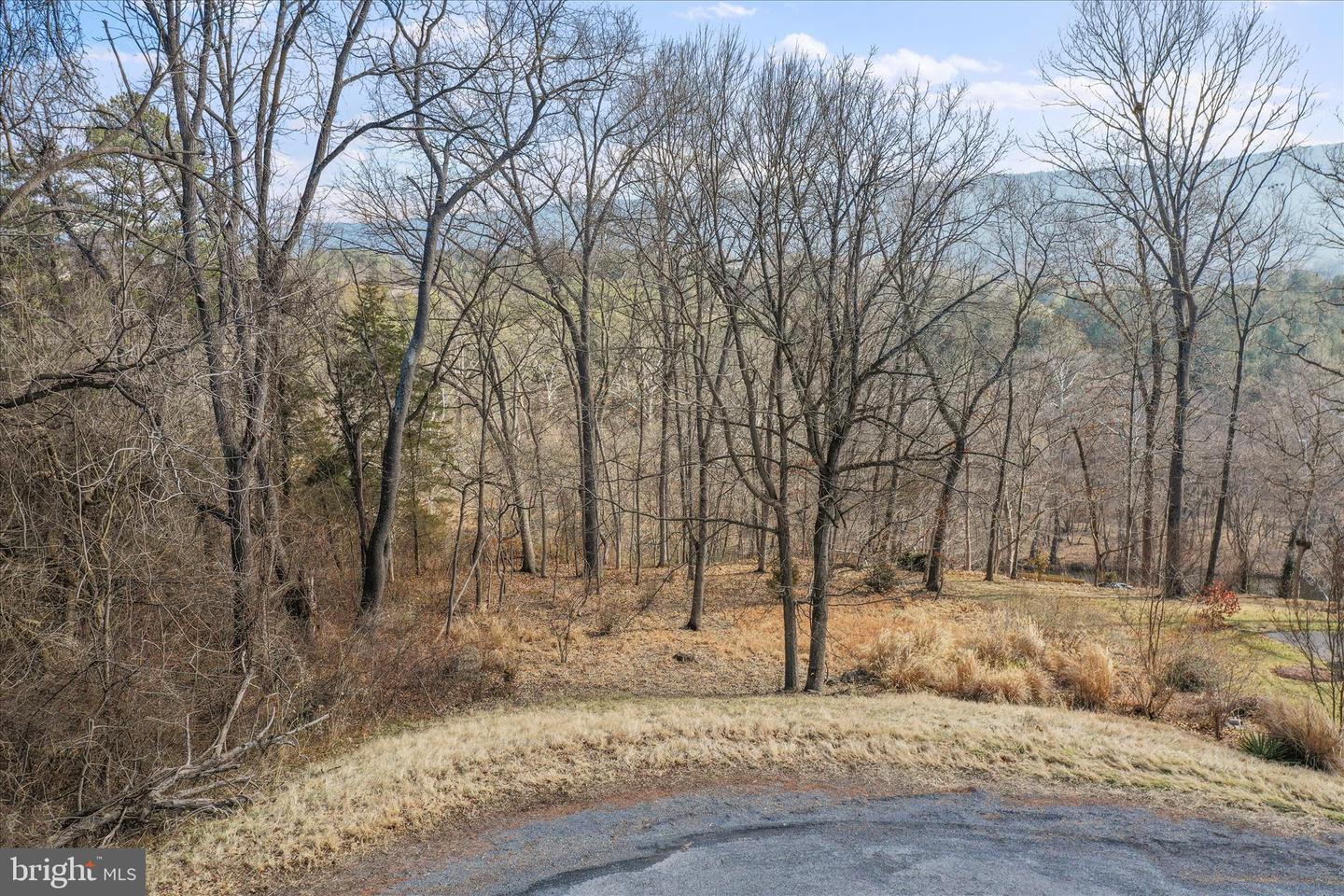 LOT 11 MANOR DR, EDINBURG, Virginia 22824, ,Land,For sale,LOT 11 MANOR DR,VASH2013696 MLS # VASH2013696