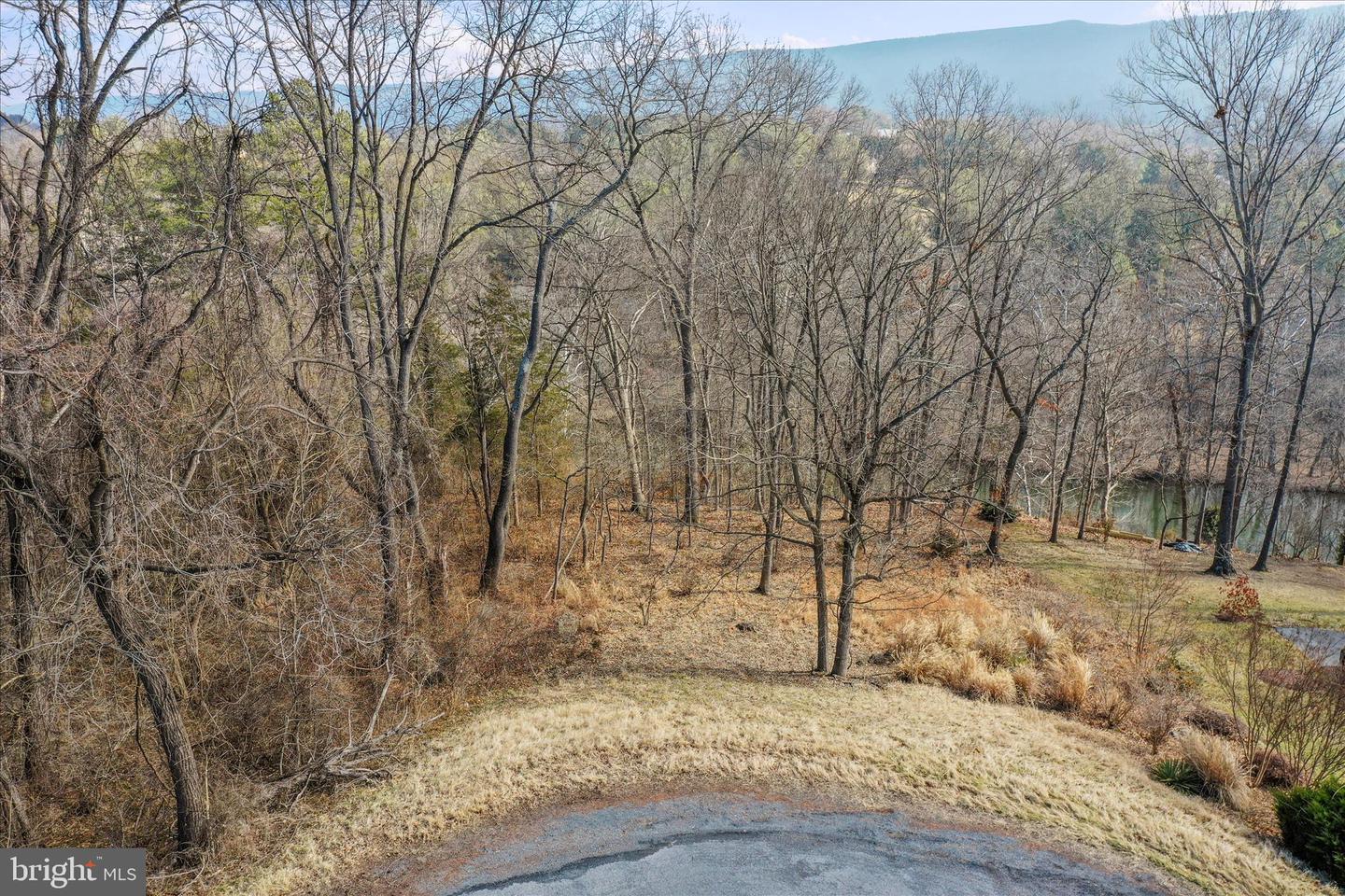 LOT 11 MANOR DR, EDINBURG, Virginia 22824, ,Land,For sale,LOT 11 MANOR DR,VASH2013696 MLS # VASH2013696