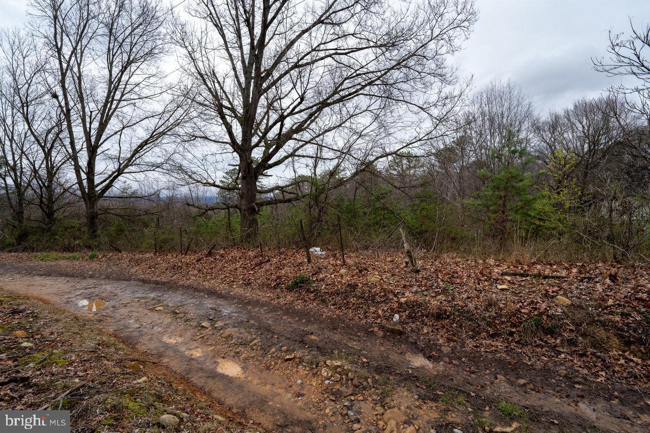 533 RAILROAD AVE, SHENANDOAH, Virginia 22849, 1 Bedroom Bedrooms, 2 Rooms Rooms,1 BathroomBathrooms,Residential,For sale,533 RAILROAD AVE,VAPA2005862 MLS # VAPA2005862