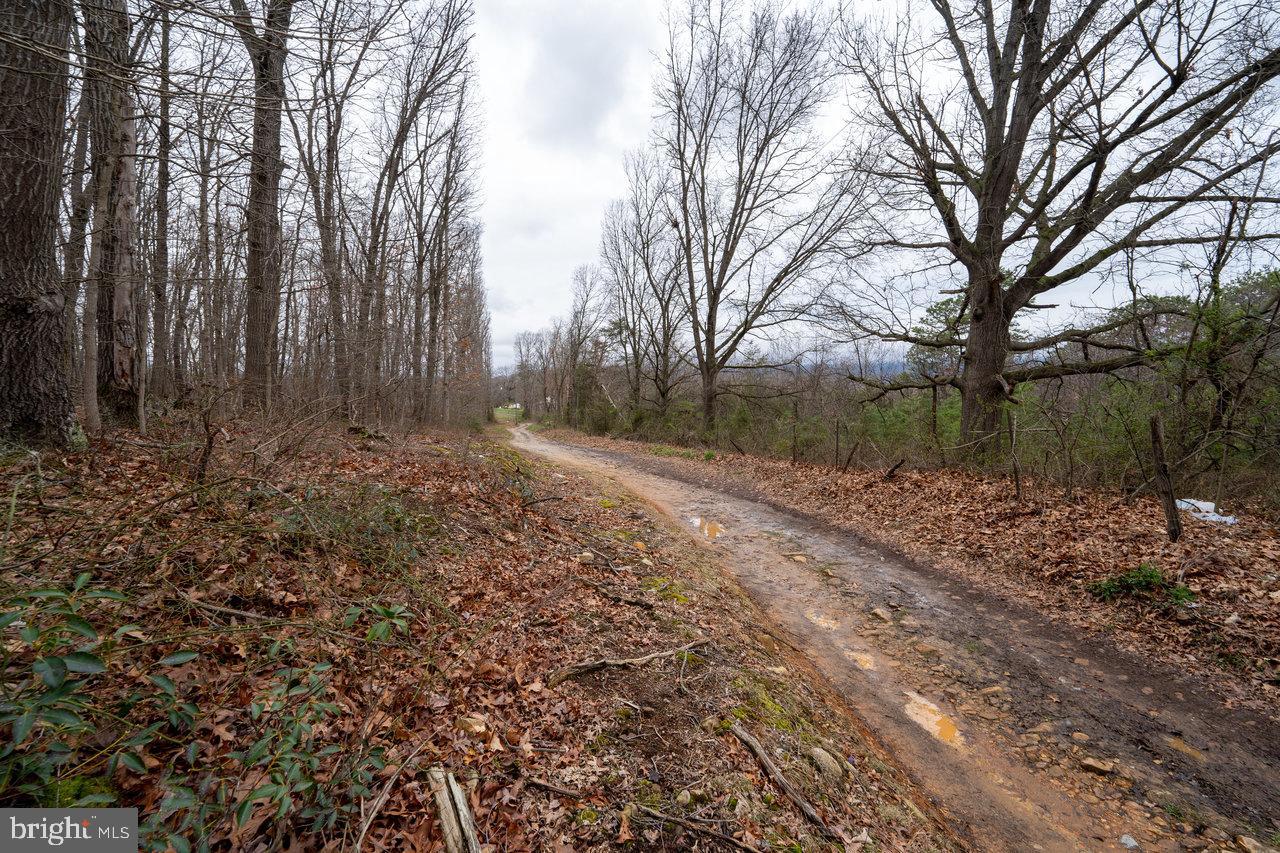 533 RAILROAD AVE, SHENANDOAH, Virginia 22849, 1 Bedroom Bedrooms, 2 Rooms Rooms,1 BathroomBathrooms,Residential,For sale,533 RAILROAD AVE,VAPA2005862 MLS # VAPA2005862