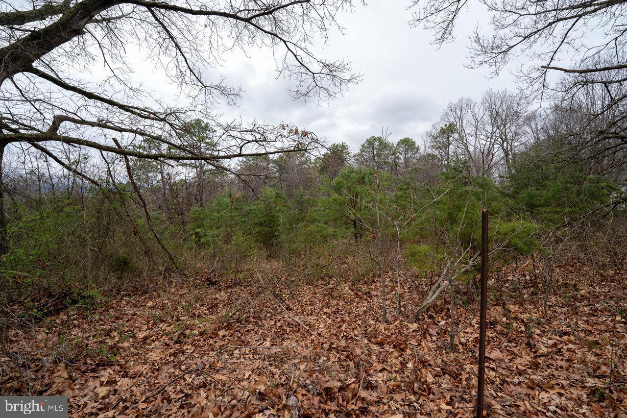 533 RAILROAD AVE, SHENANDOAH, Virginia 22849, 1 Bedroom Bedrooms, 2 Rooms Rooms,1 BathroomBathrooms,Residential,For sale,533 RAILROAD AVE,VAPA2005862 MLS # VAPA2005862