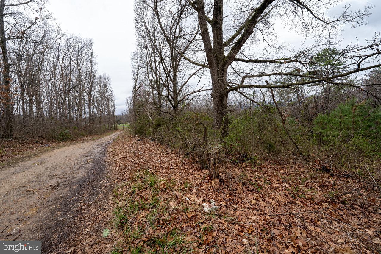 533 RAILROAD AVE, SHENANDOAH, Virginia 22849, 1 Bedroom Bedrooms, 2 Rooms Rooms,1 BathroomBathrooms,Residential,For sale,533 RAILROAD AVE,VAPA2005862 MLS # VAPA2005862