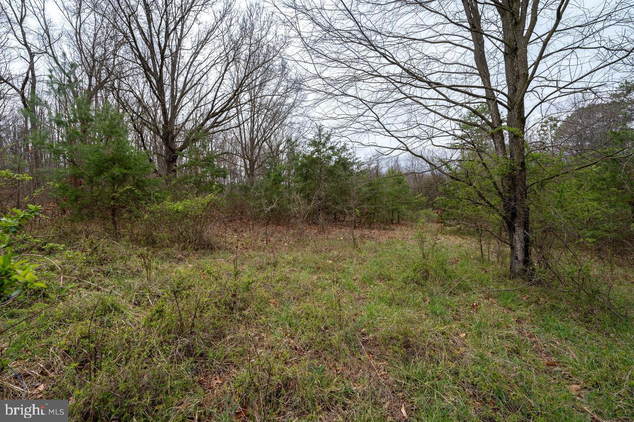 533 RAILROAD AVE, SHENANDOAH, Virginia 22849, 1 Bedroom Bedrooms, 2 Rooms Rooms,1 BathroomBathrooms,Residential,For sale,533 RAILROAD AVE,VAPA2005862 MLS # VAPA2005862